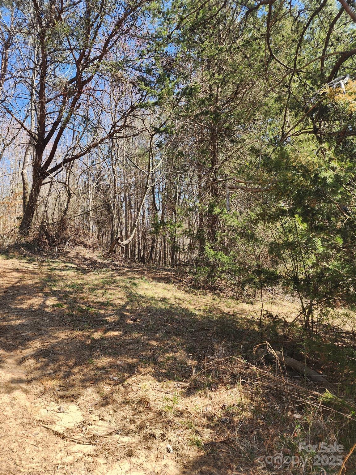 1 Old Vashti Road Property Photo 5