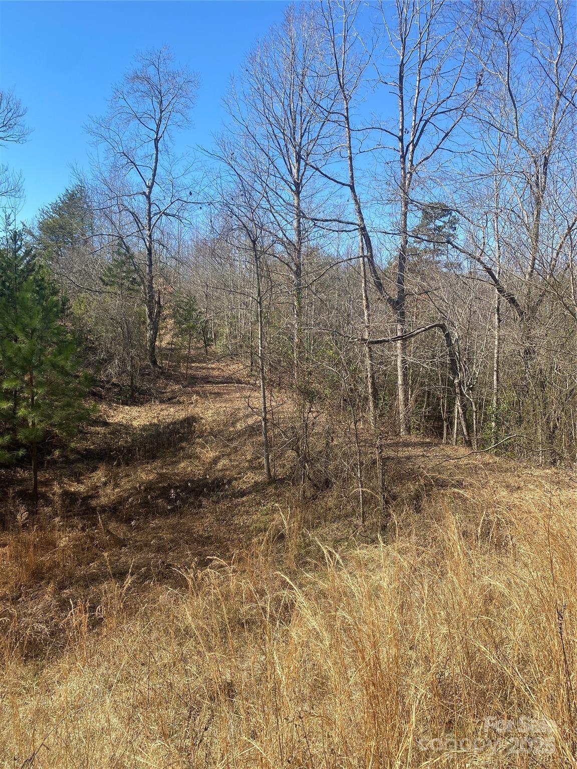 3381 Nc Hwy 18 Highway Property Photo 5