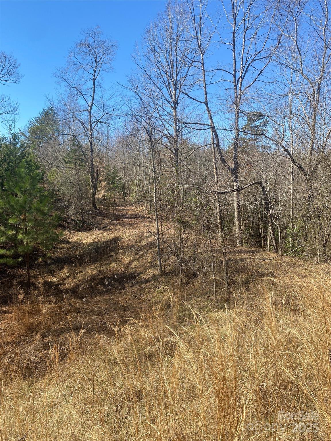 3381 Nc Hwy 18 Highway Property Photo 6
