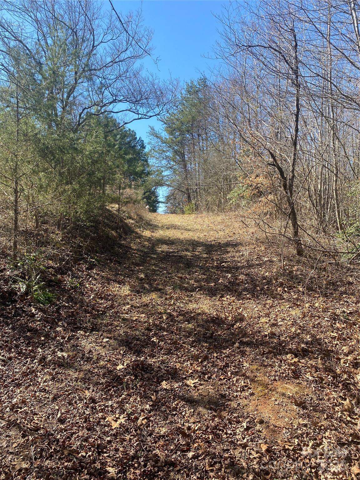 3381 Nc Hwy 18 Highway Property Photo 7