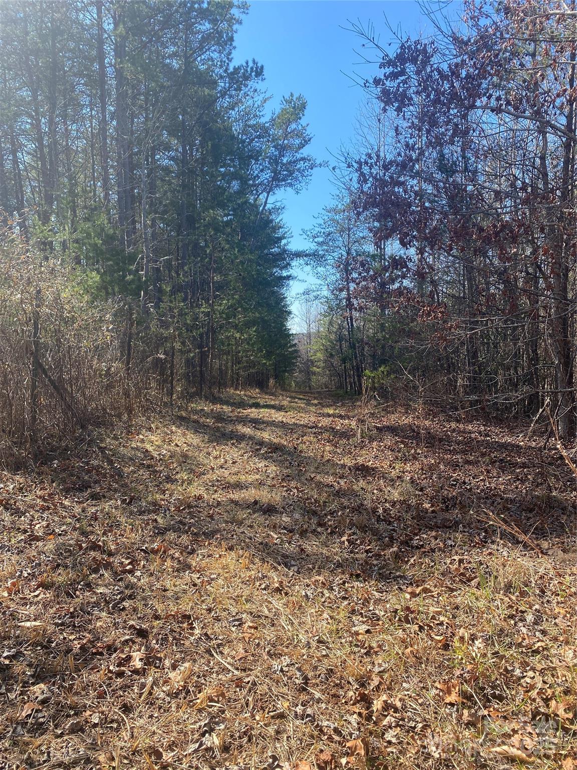 3381 Nc Hwy 18 Highway Property Photo 8
