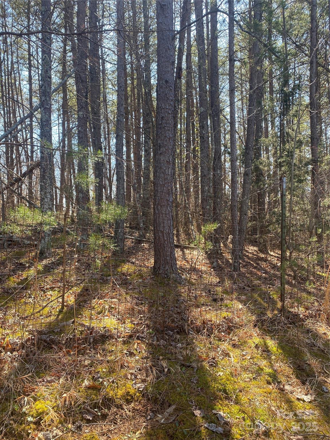3381 Nc Hwy 18 Highway Property Photo 9