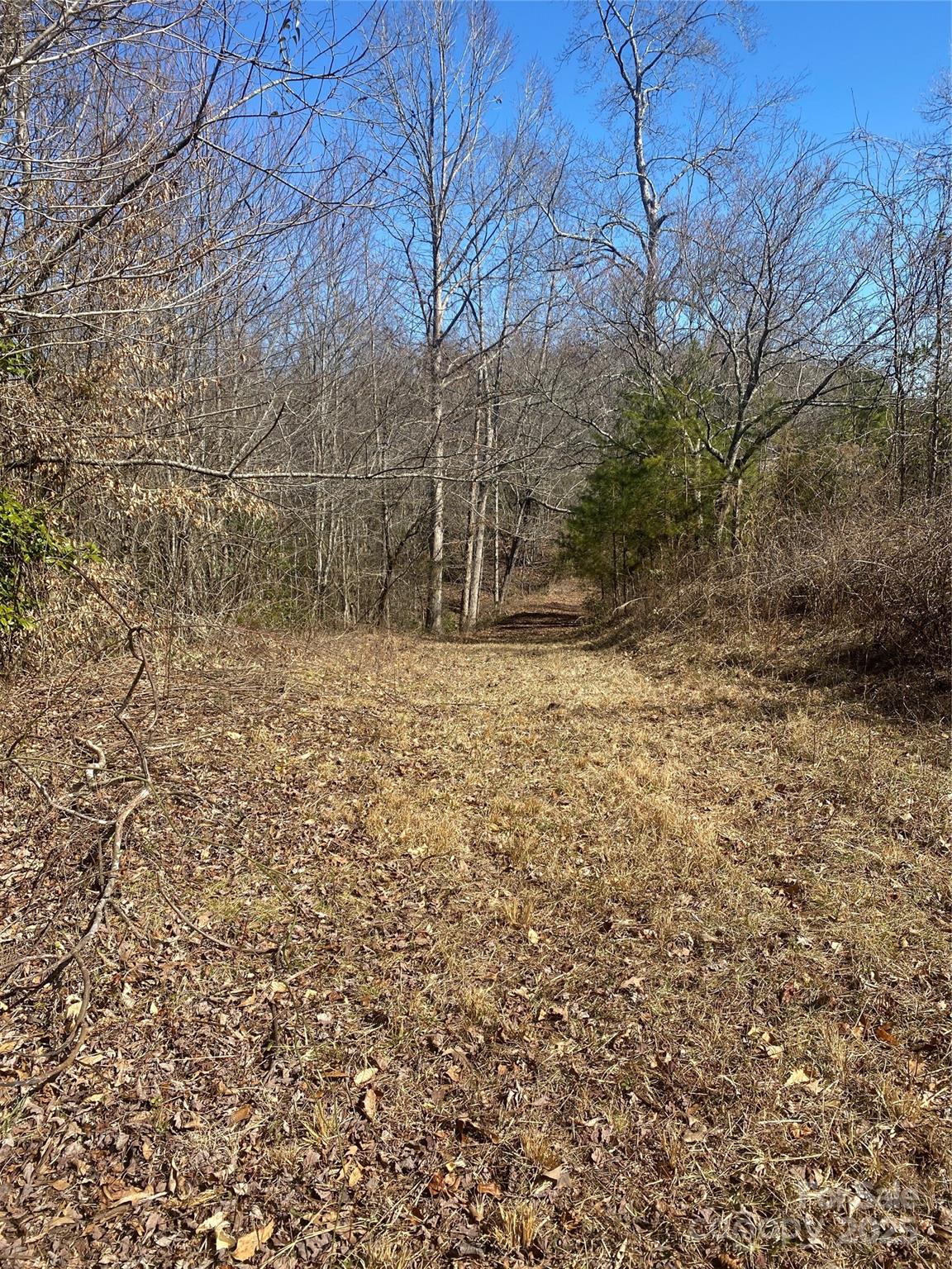 3381 Nc Hwy 18 Highway Property Photo 10