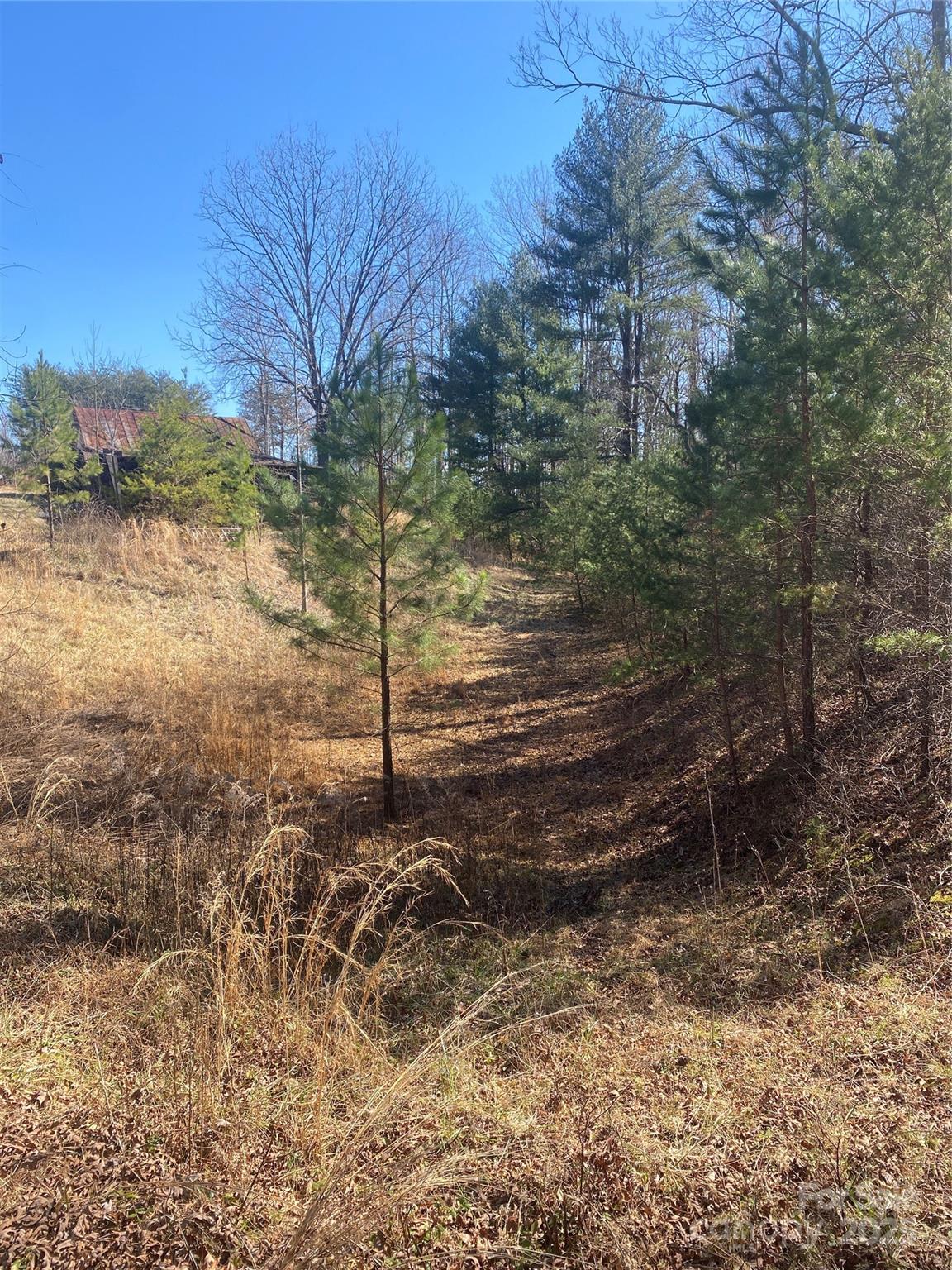 3381 Nc Hwy 18 Highway Property Photo 11