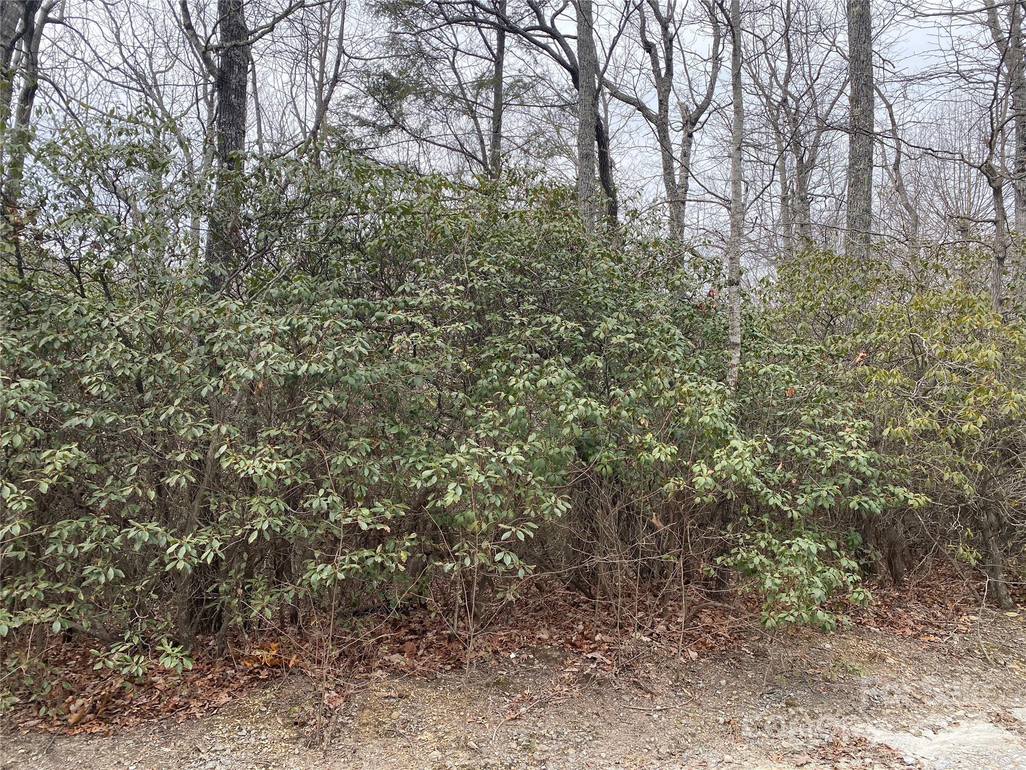 Lot B Pinebluff Court Property Photo 2