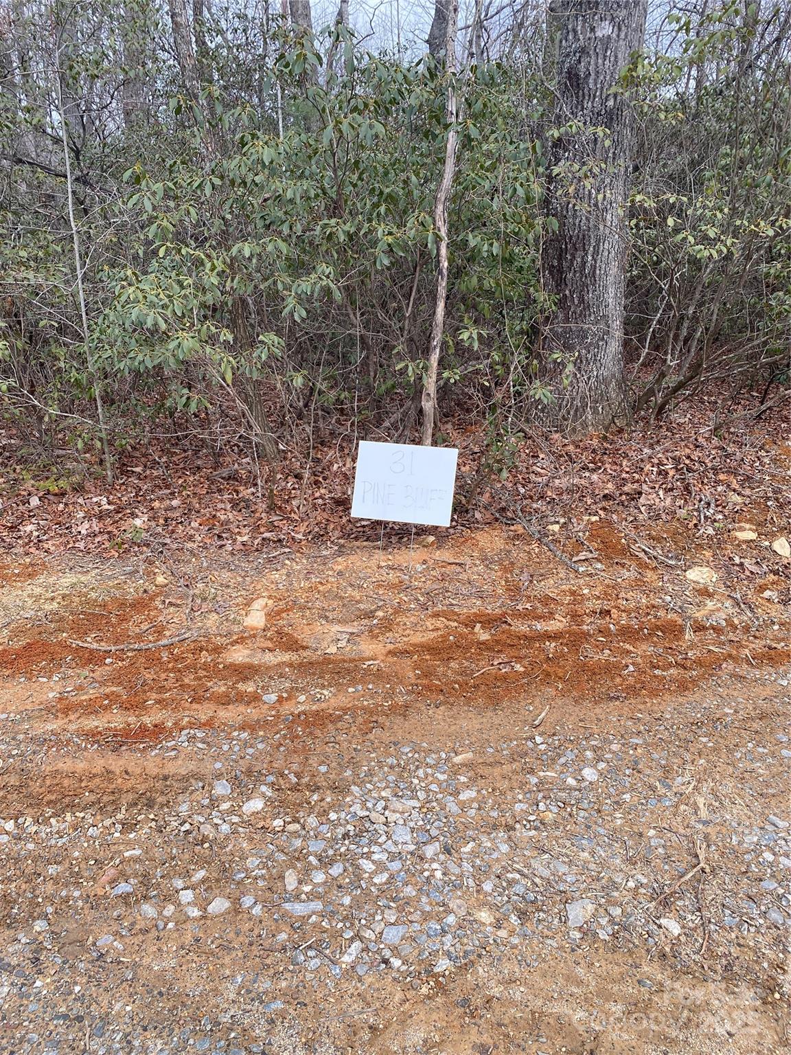 Lot B Pinebluff Court Property Photo 3