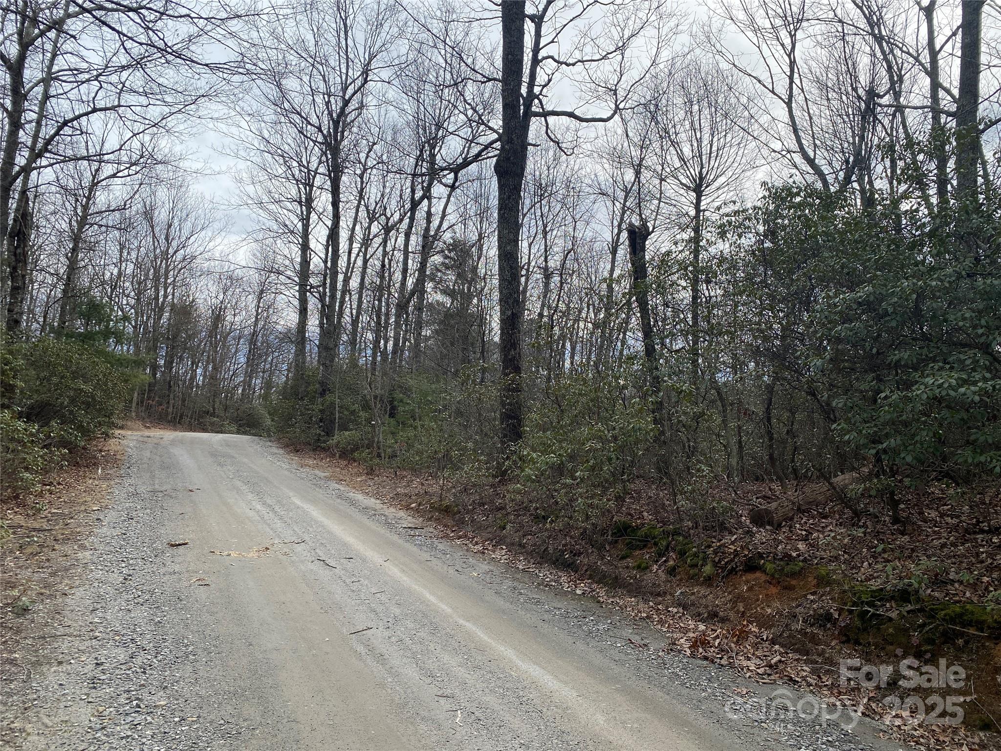 Lot B Pinebluff Court Property Photo 5