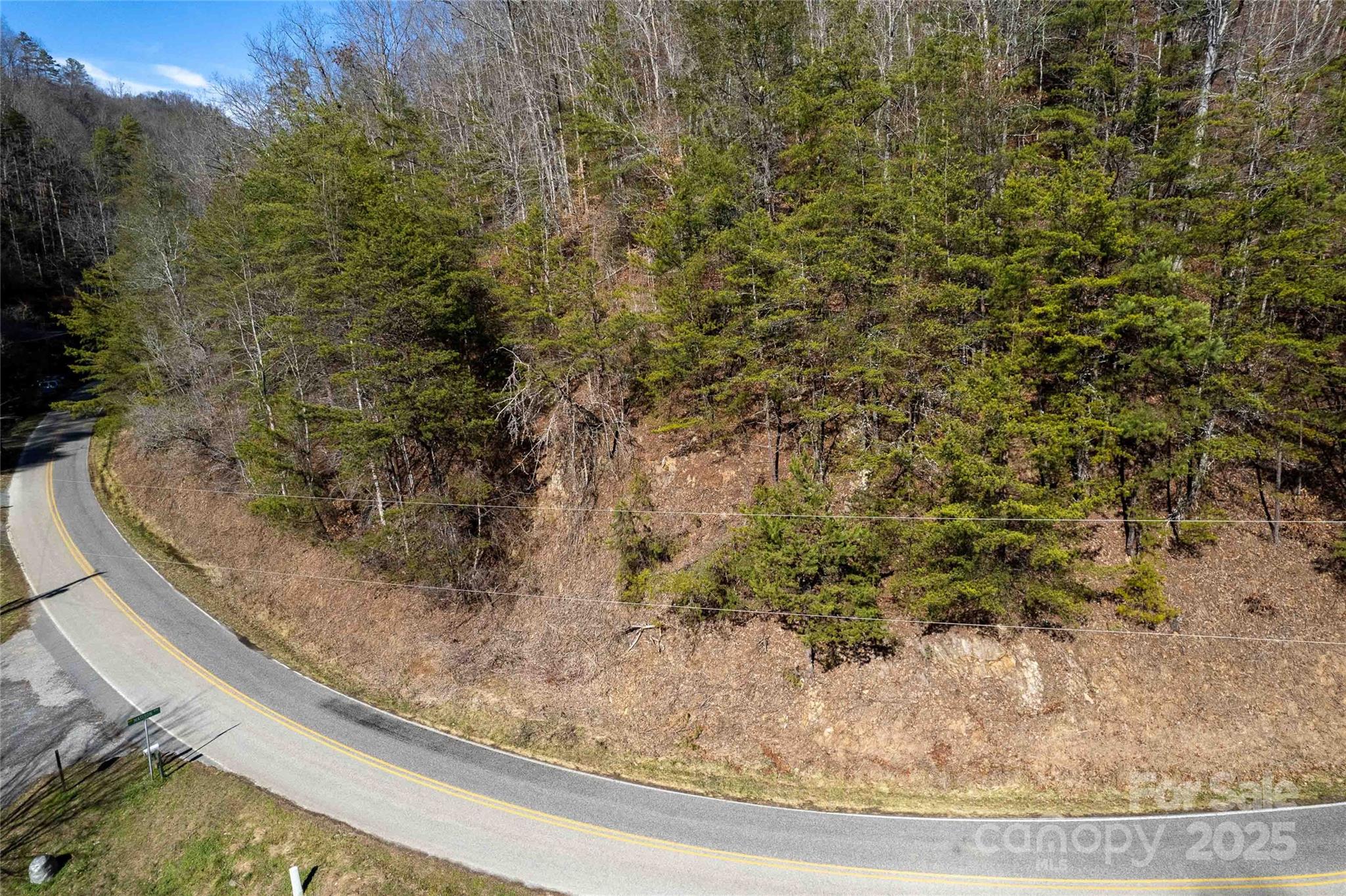 0 Rusty's Ridge Road Property Photo 9