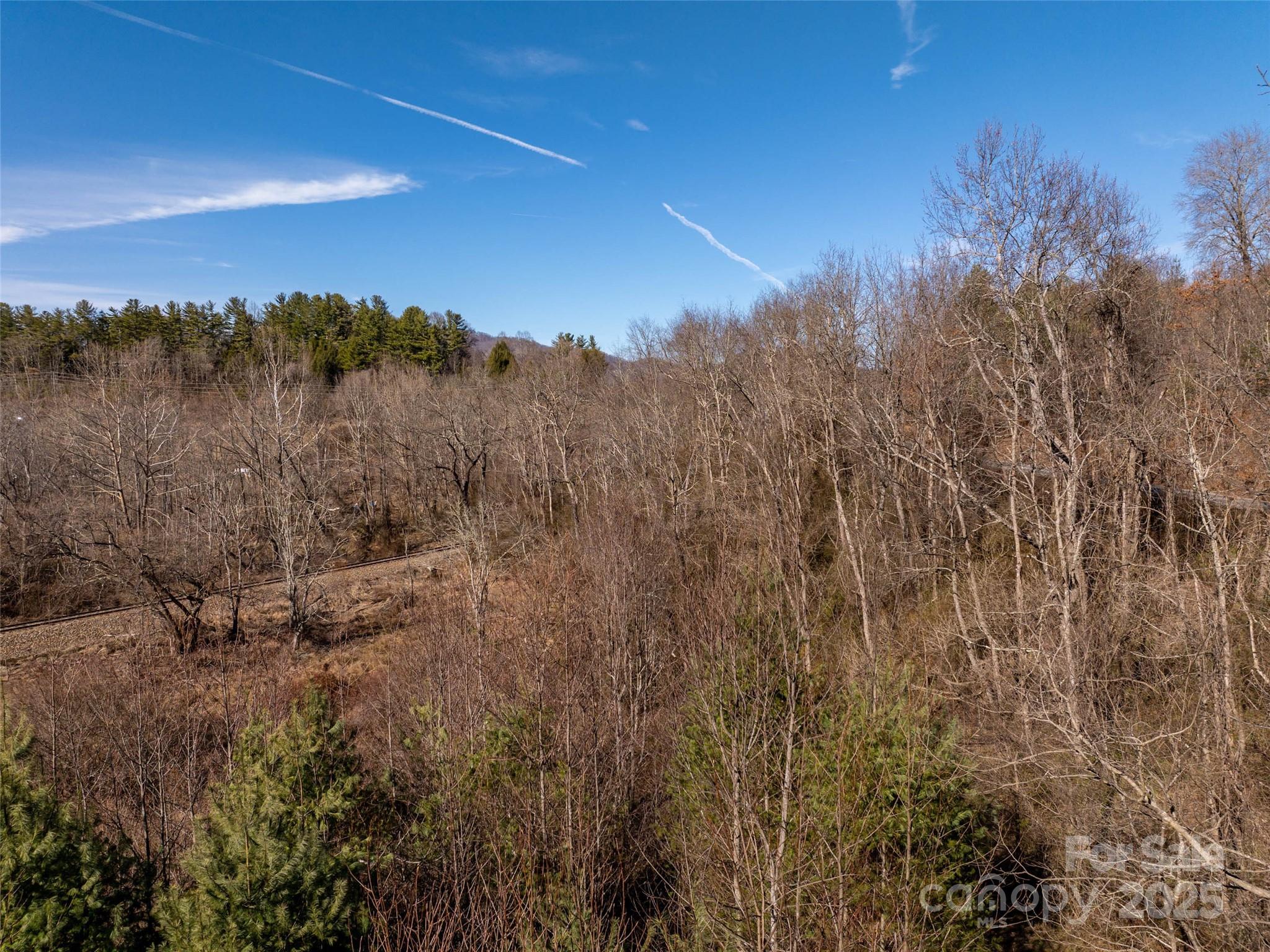 0 Woodland Drive Property Photo 6