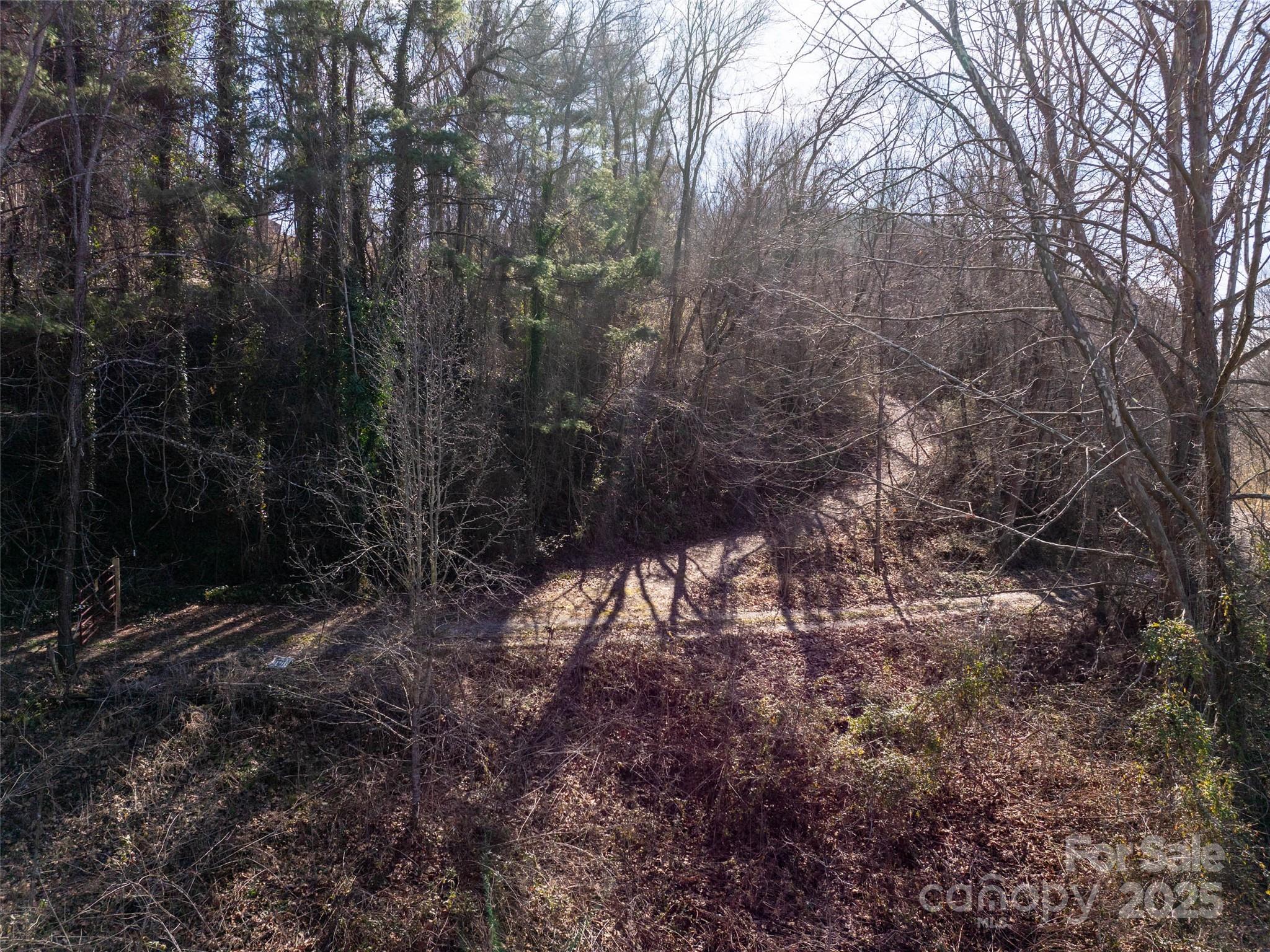 0 Woodland Drive Property Photo 7