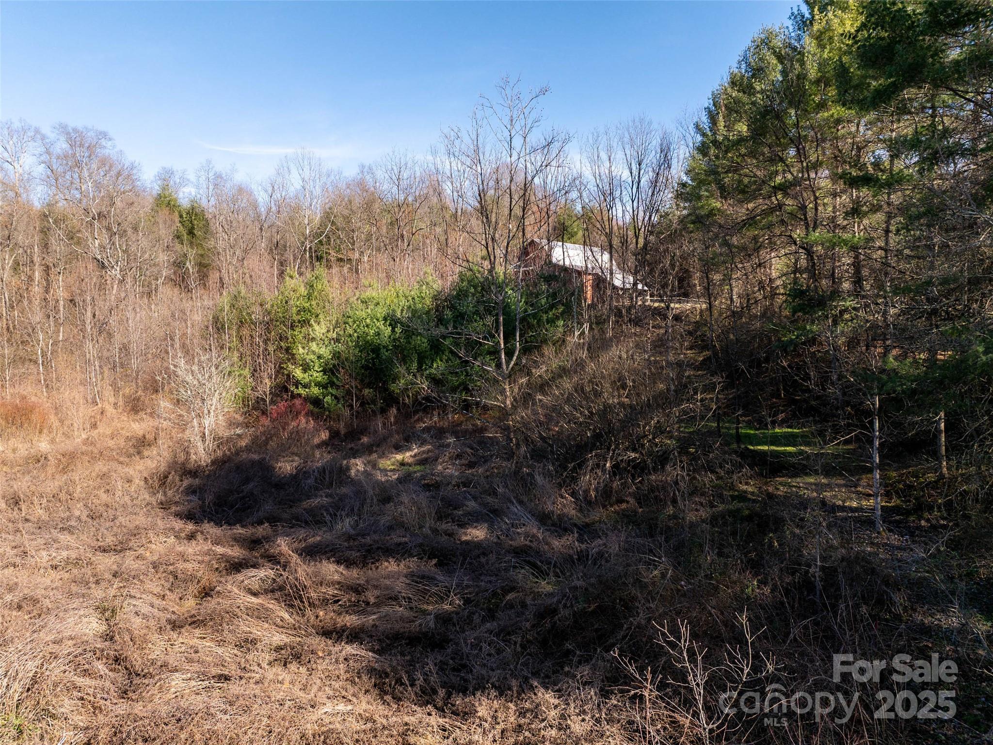 0 Woodland Drive Property Photo 8