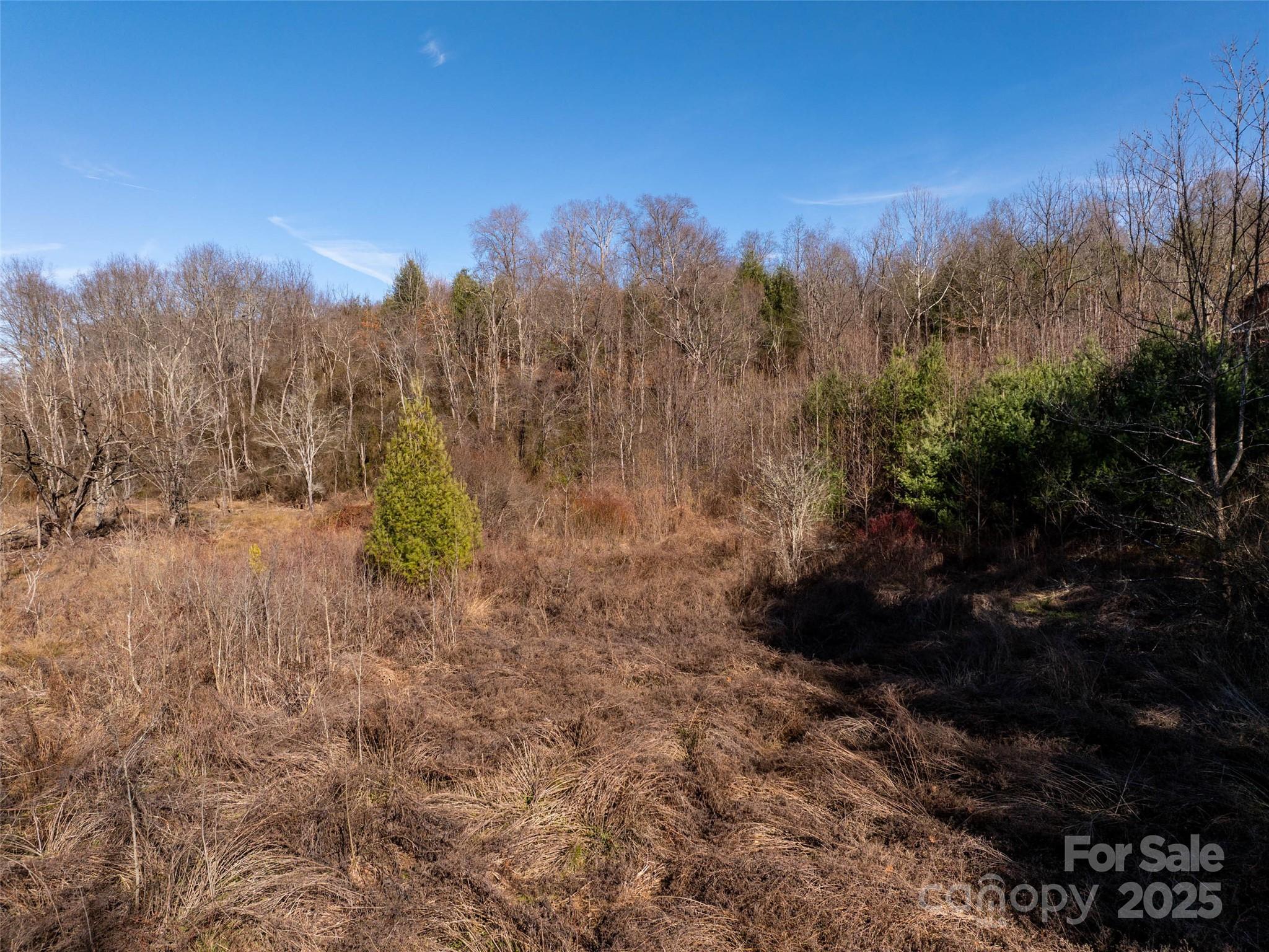 0 Woodland Drive Property Photo 9