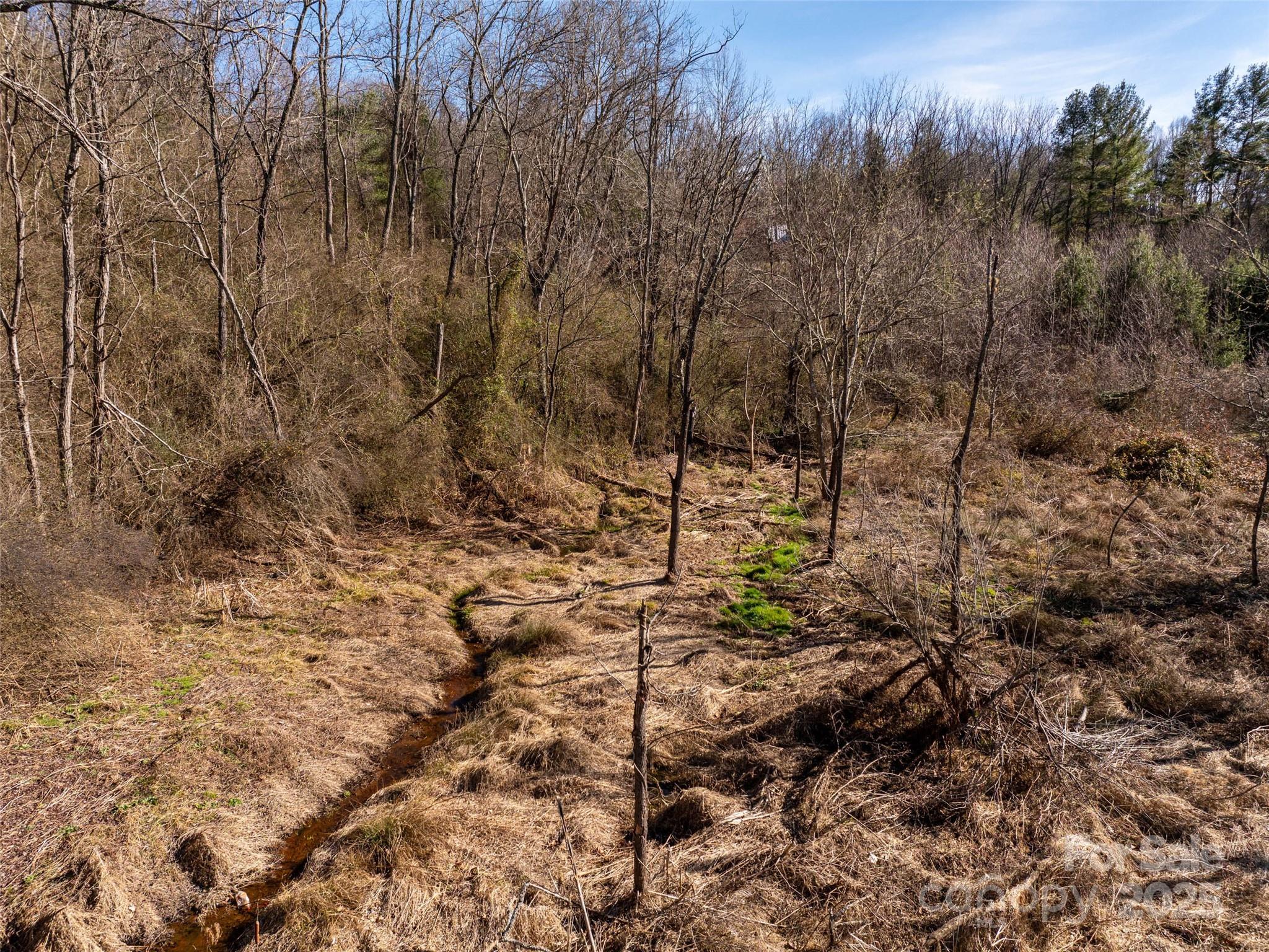 0 Woodland Drive Property Photo 11