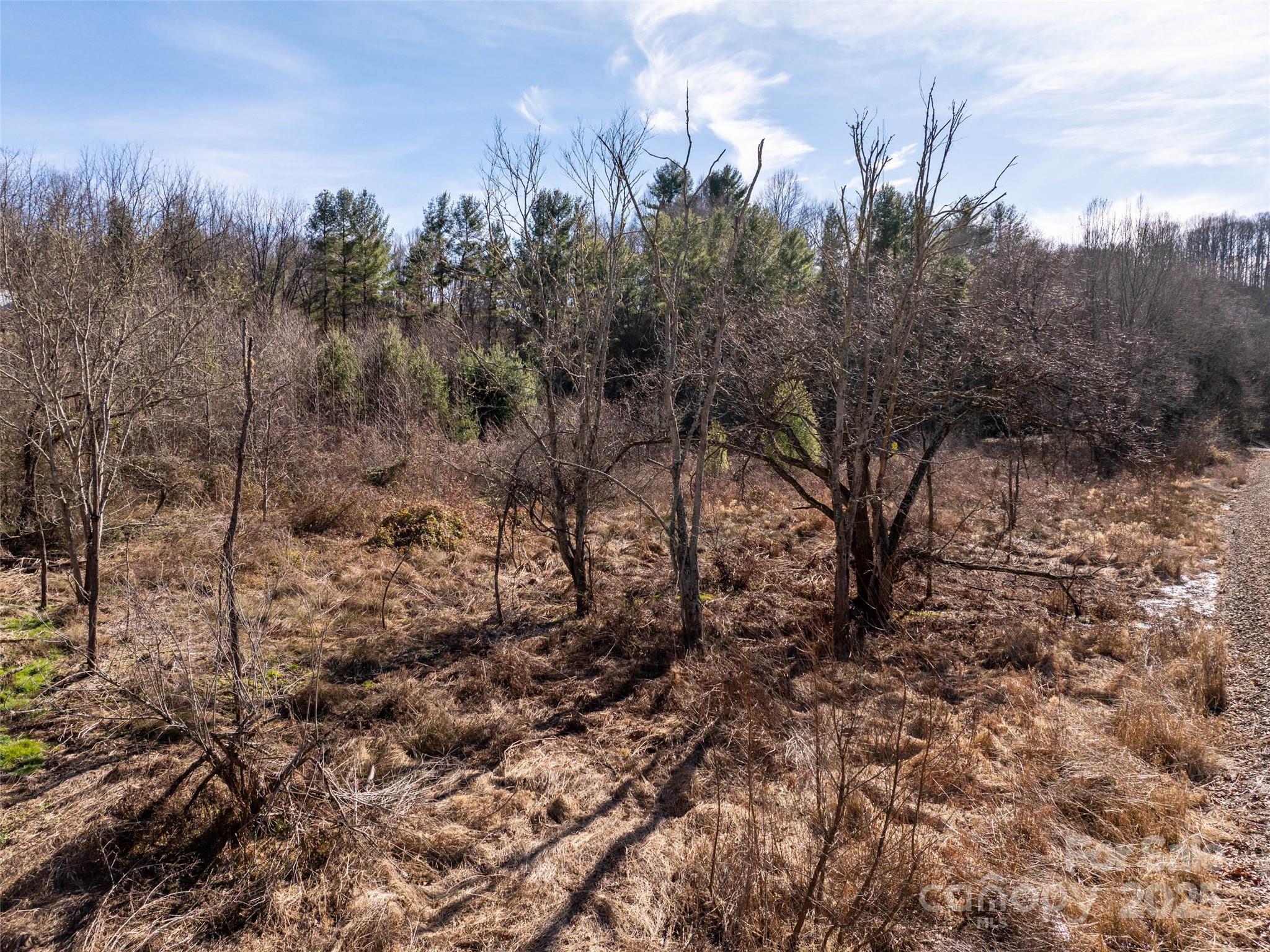 0 Woodland Drive Property Photo 12