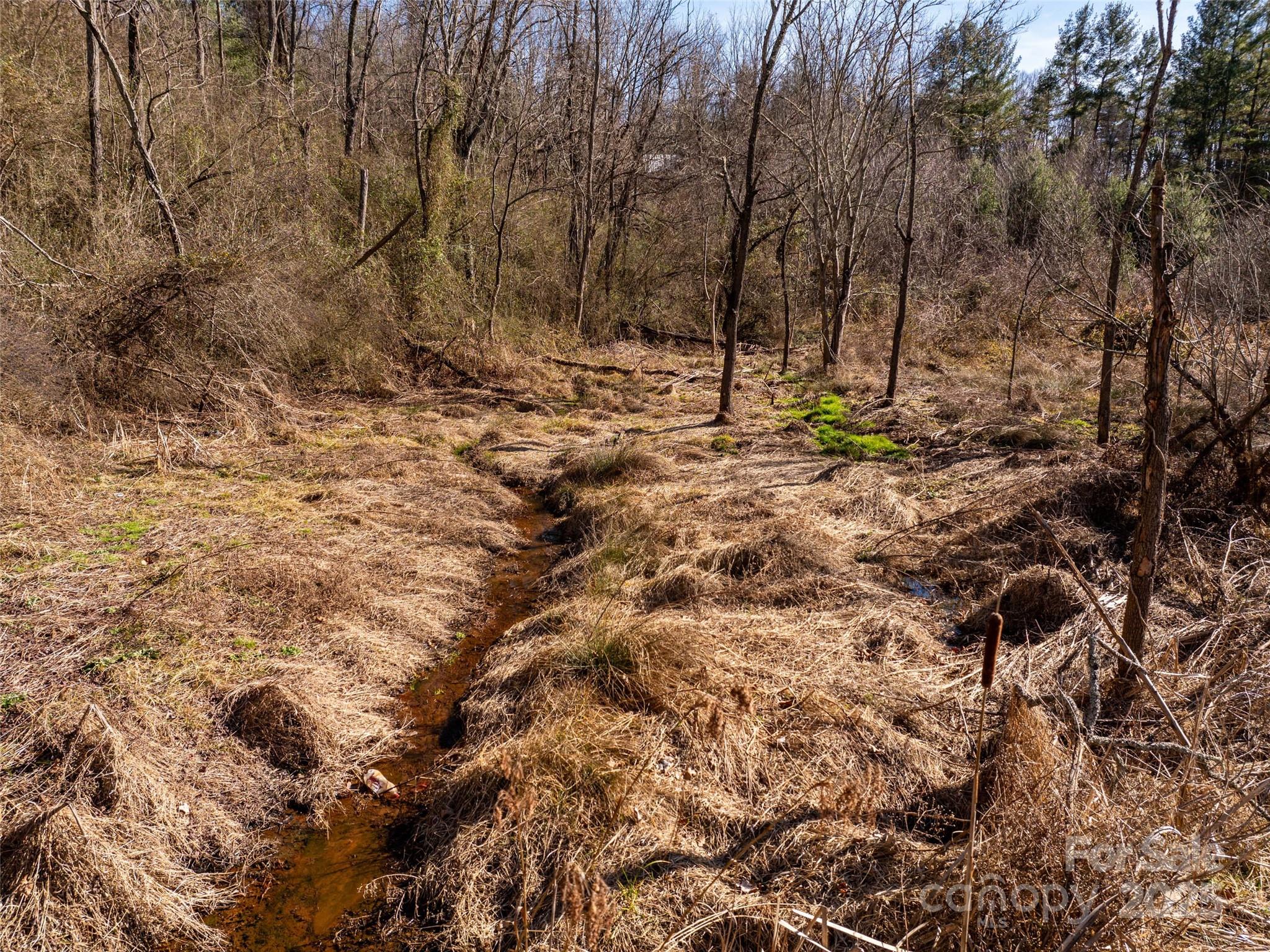 0 Woodland Drive Property Photo 13