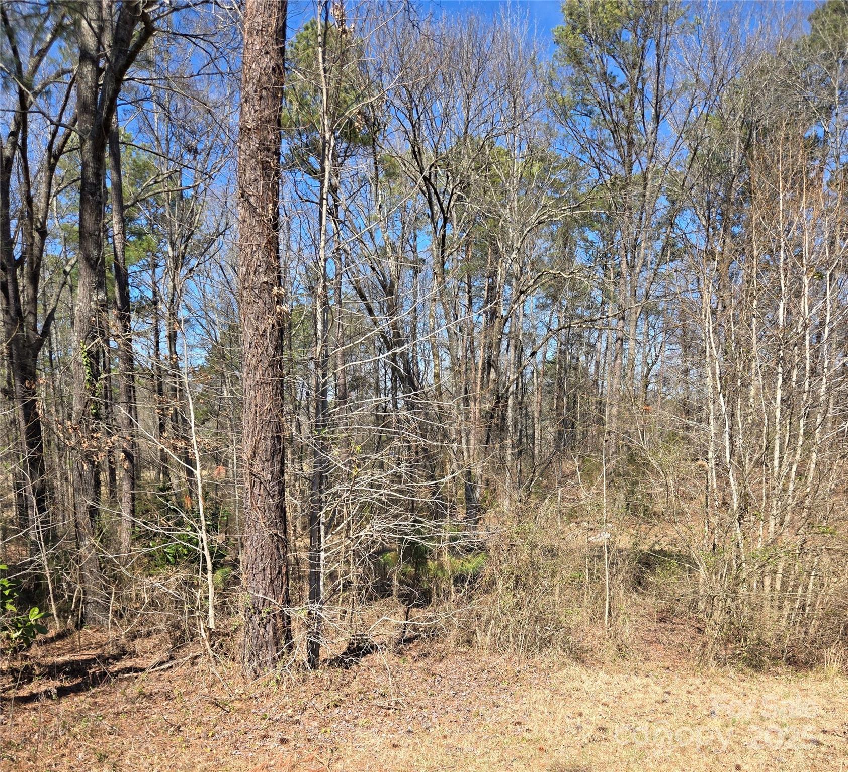 912 Allendale Circle Property Photo 3