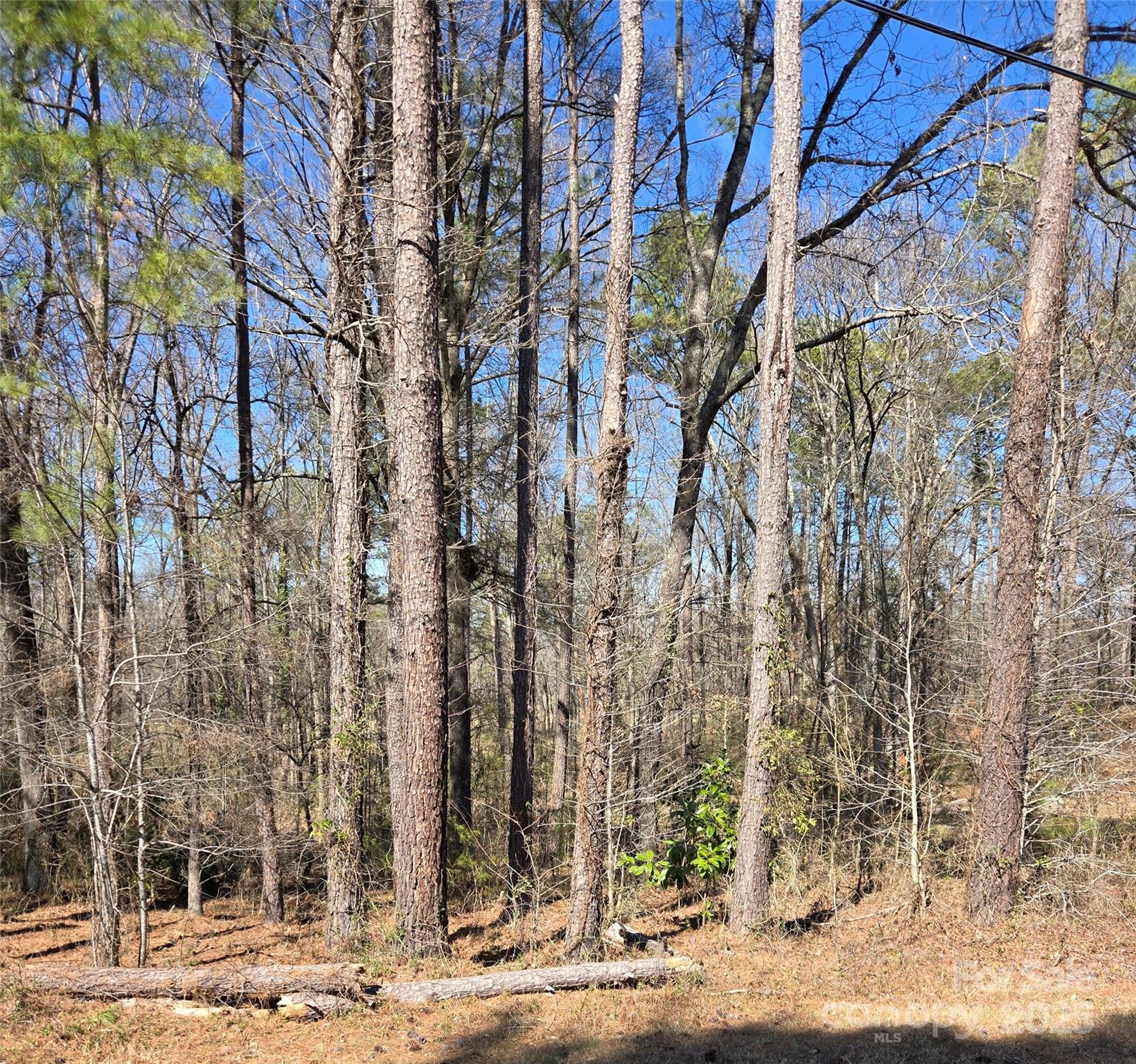 912 Allendale Circle Property Photo 6