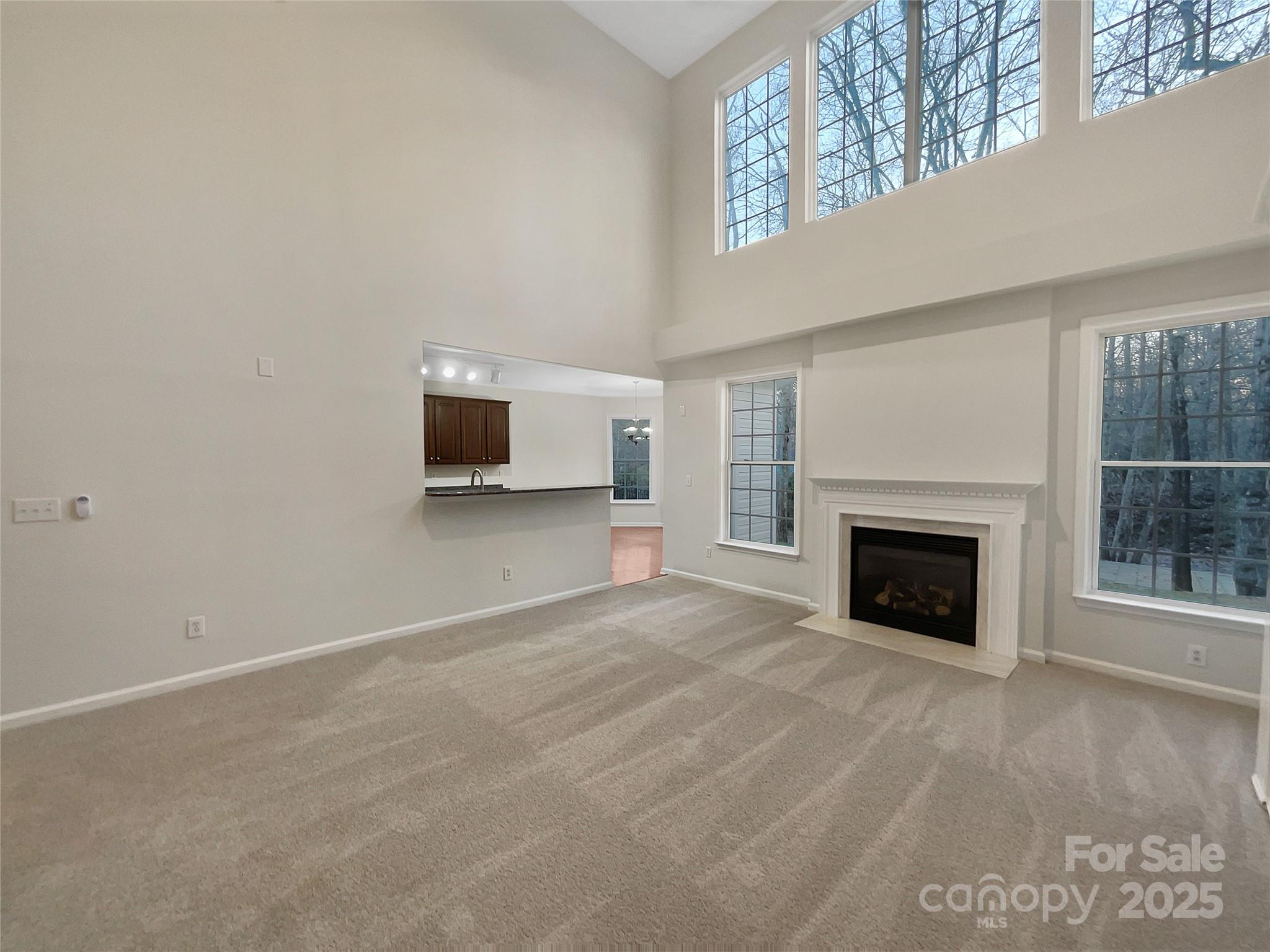 5002 Fine Robe Drive Property Photo 3