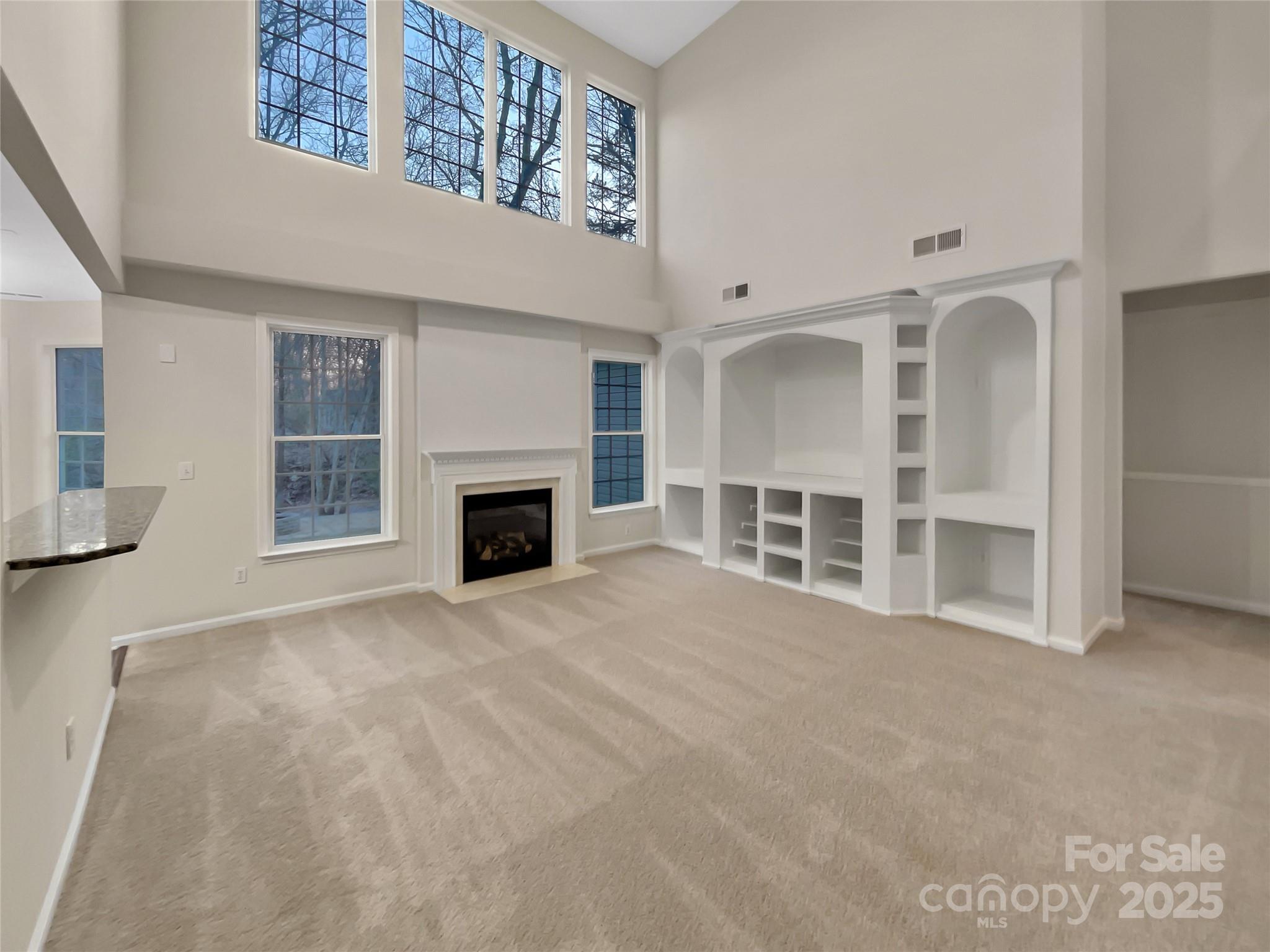 5002 Fine Robe Drive Property Photo 18