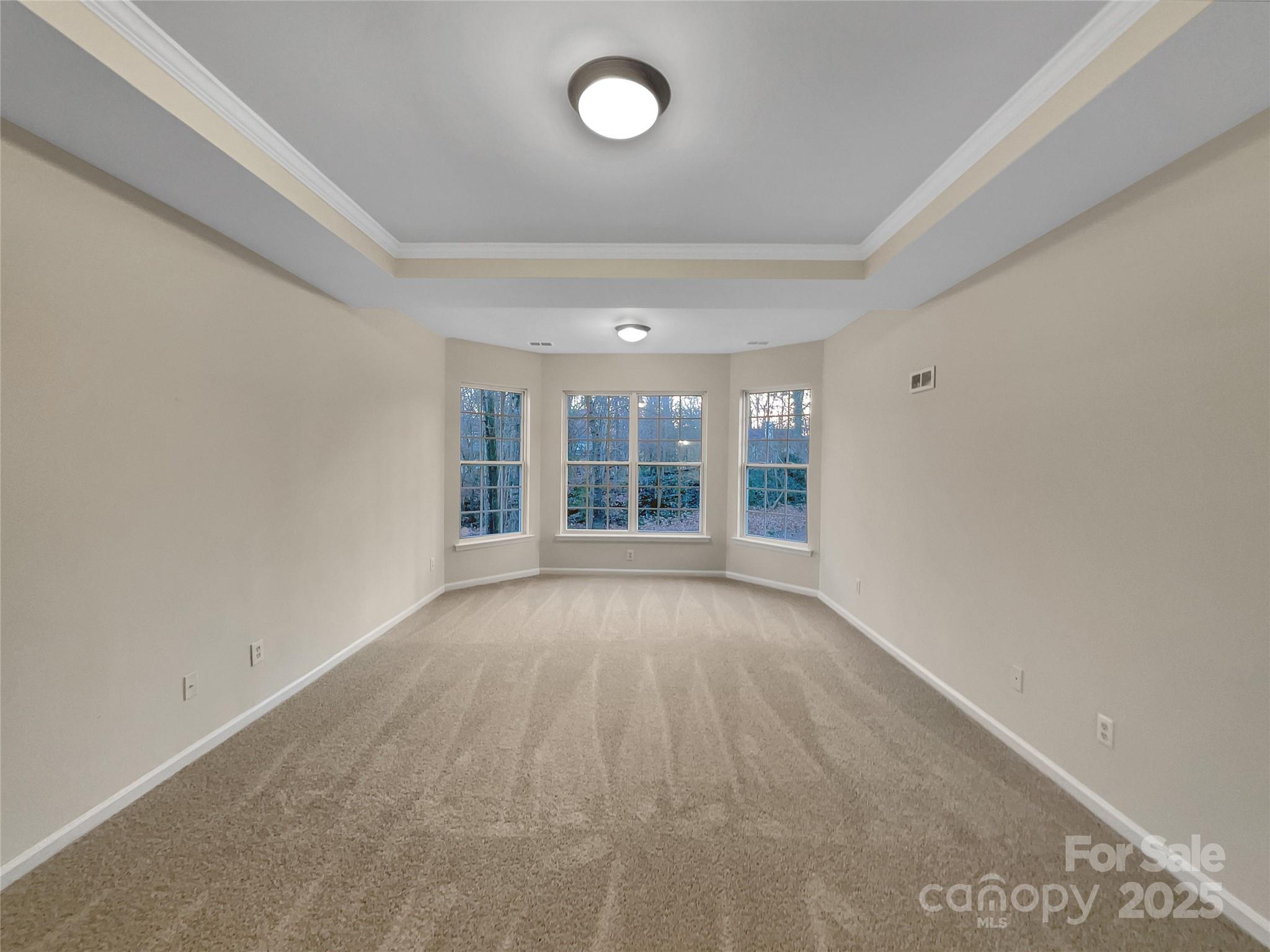 5002 Fine Robe Drive Property Photo 19