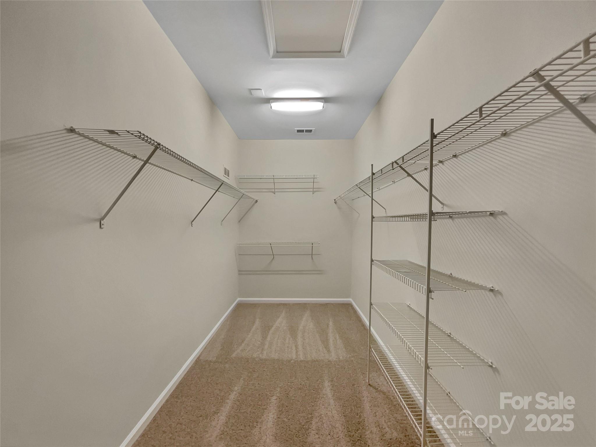5002 Fine Robe Drive Property Photo 20