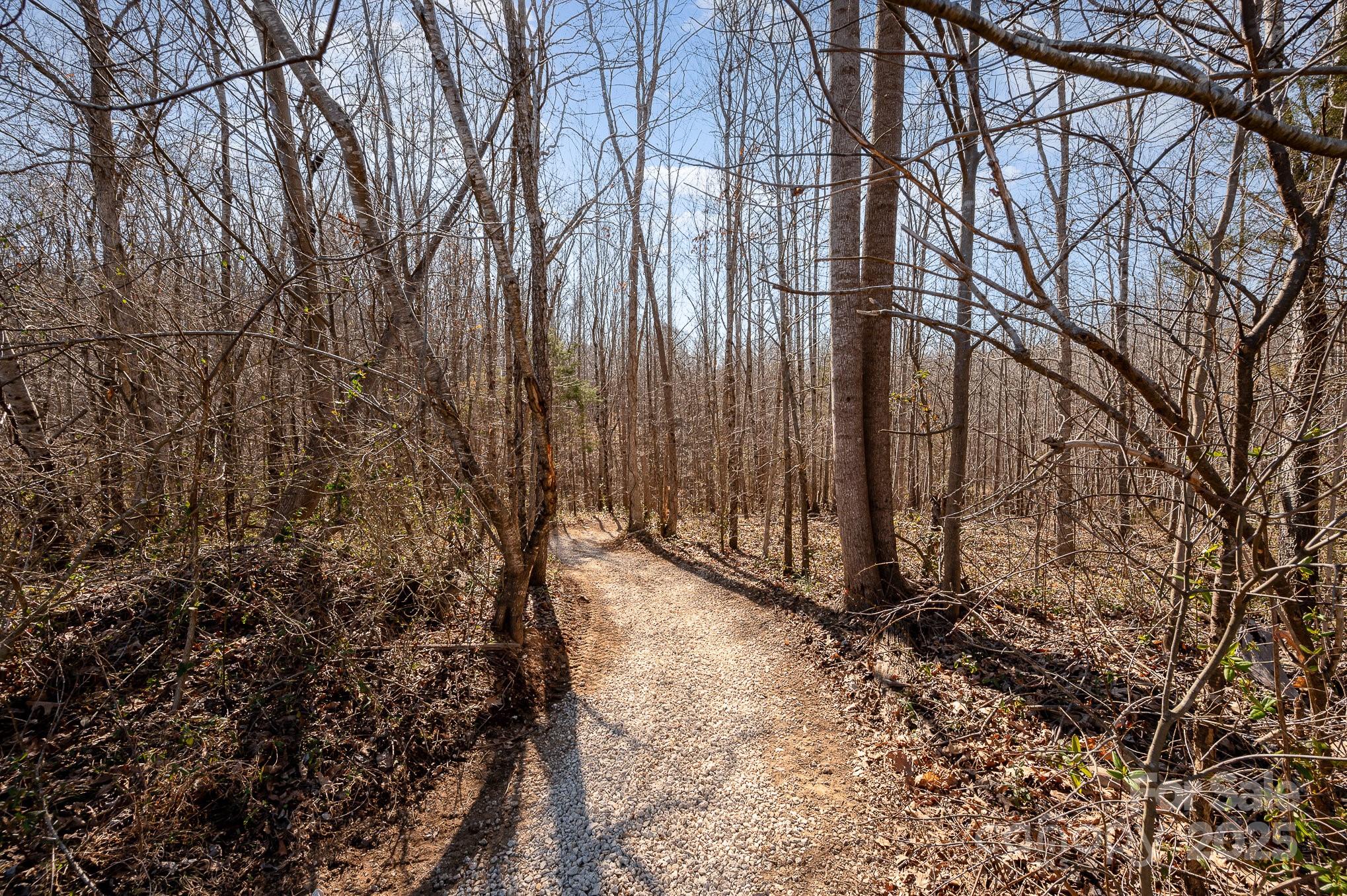 223 Scottish Drive Property Photo 34