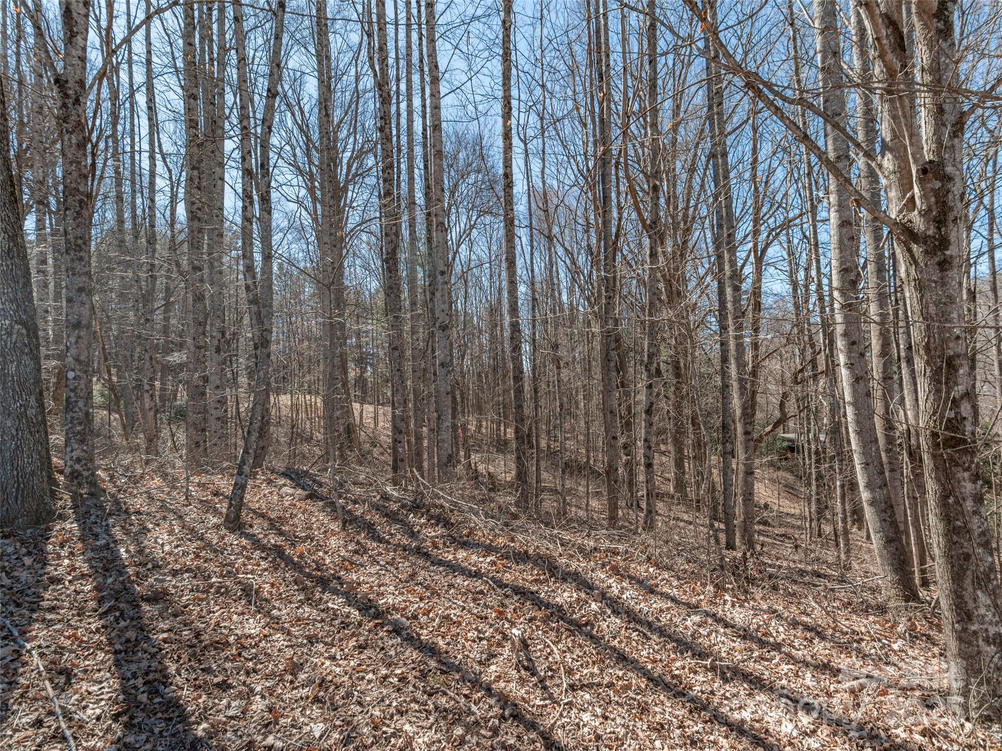 00 Sams Trail 27 Property Photo 5