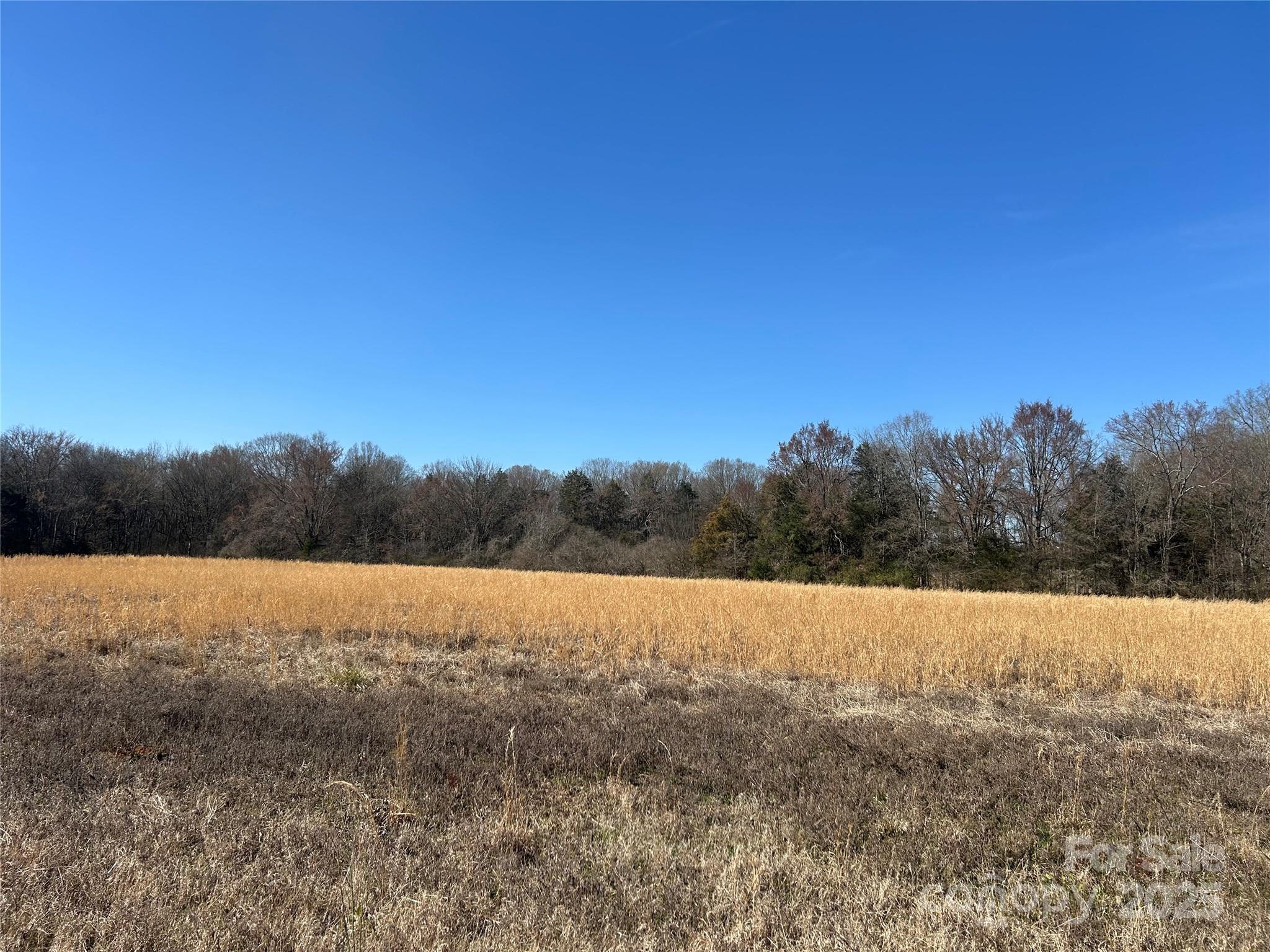 62 Ac Bridgewater Road Property Photo 6