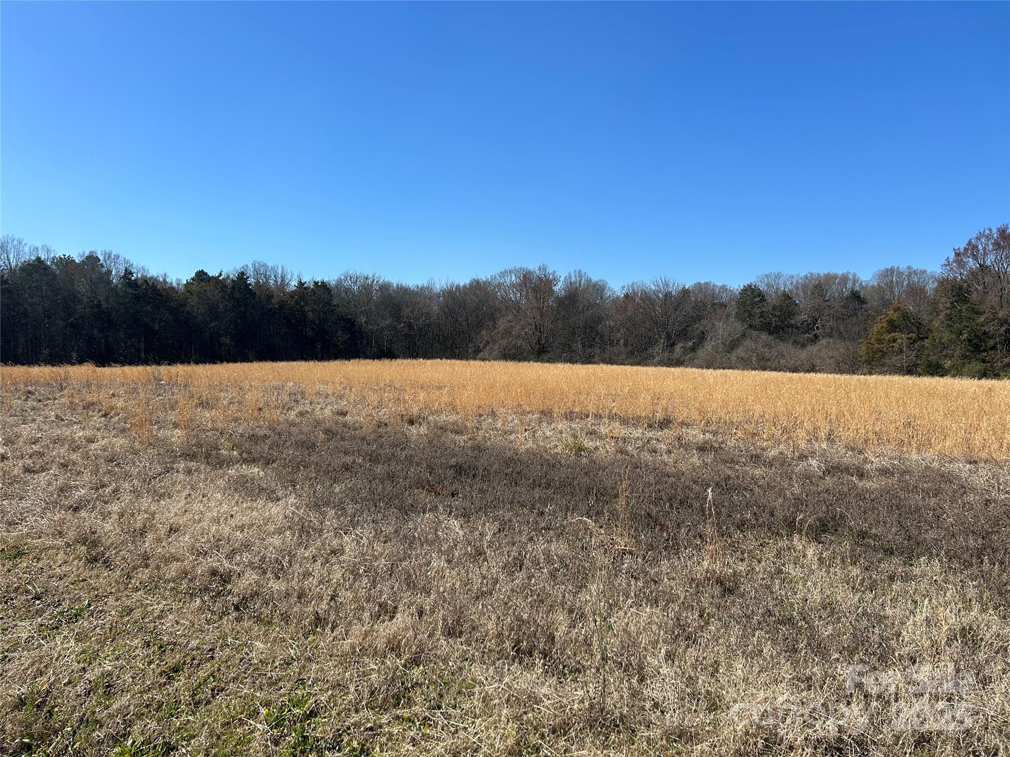 62 Ac Bridgewater Road Property Photo 7