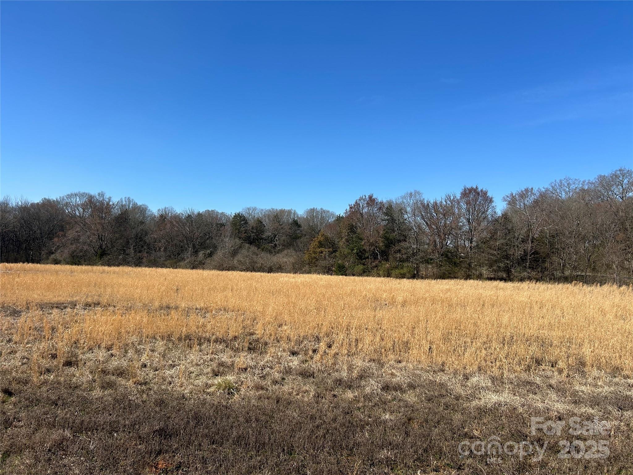 62 Ac Bridgewater Road Property Photo 9