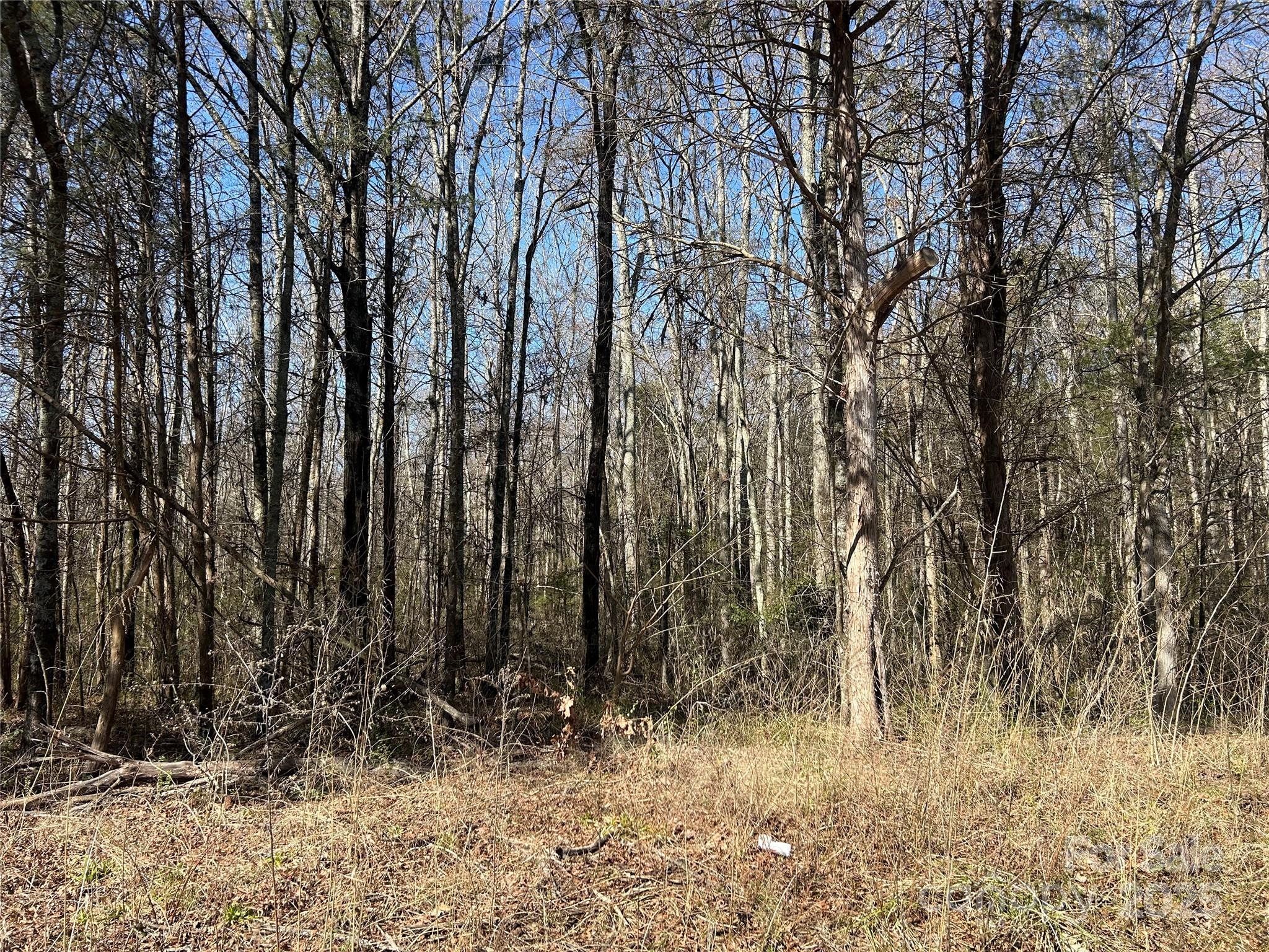 62 Ac Bridgewater Road Property Photo 25