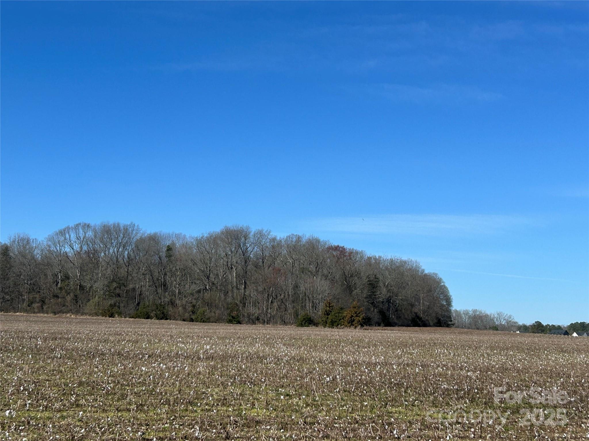 62 Ac Bridgewater Road Property Photo 30