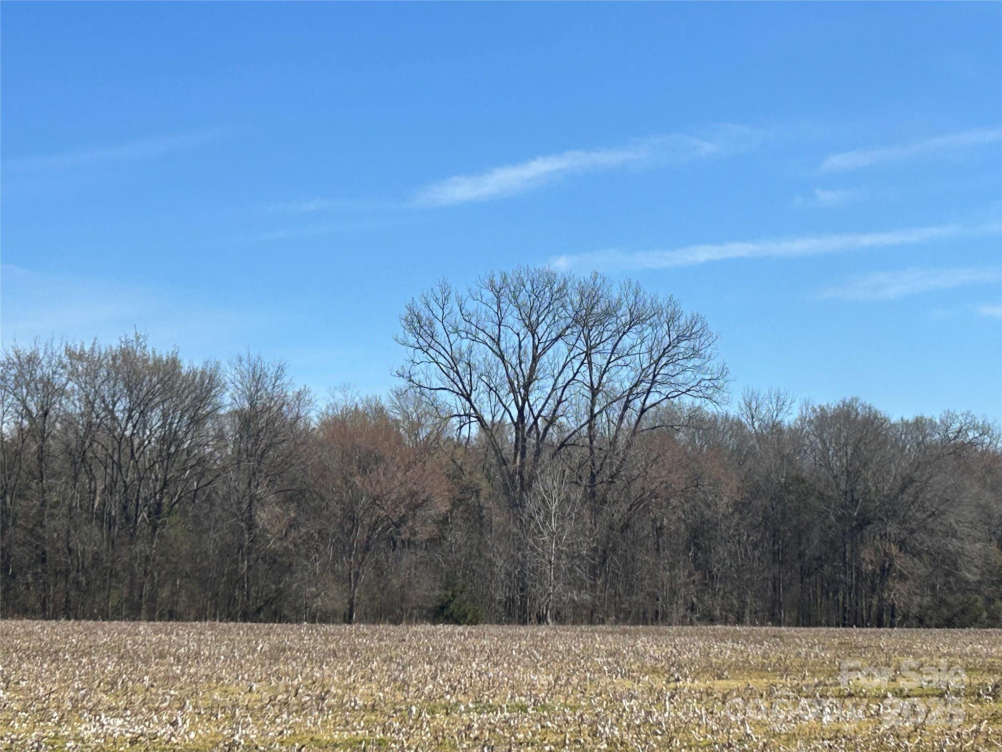 62 Ac Bridgewater Road Property Photo 41
