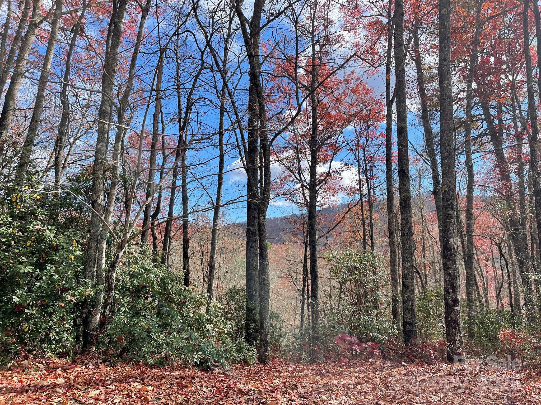 Lot 24 Ridge Trail Drive Property Photo 2