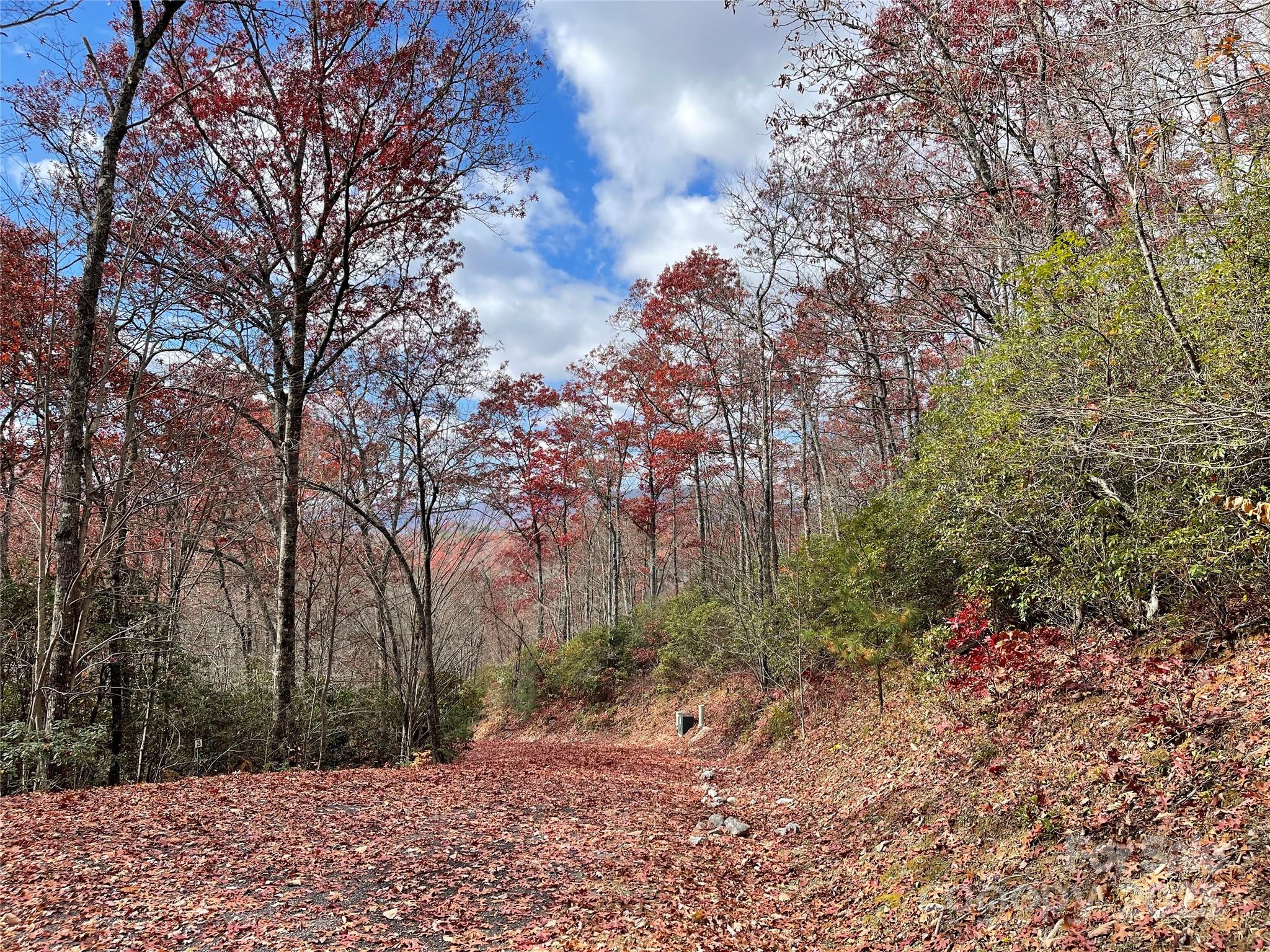 Lot 24 Ridge Trail Drive Property Photo 3