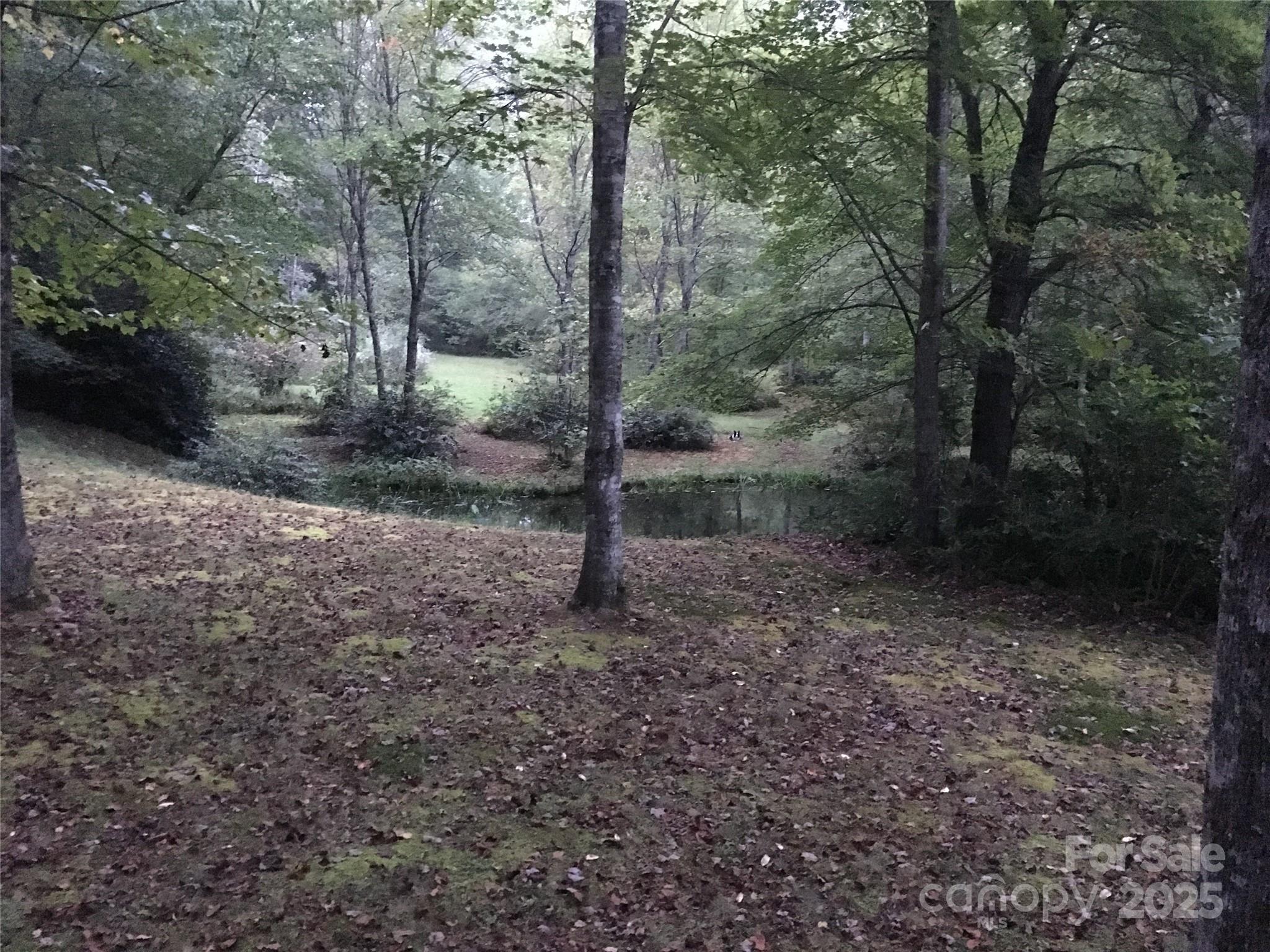 Lot 24 Ridge Trail Drive Property Photo 8