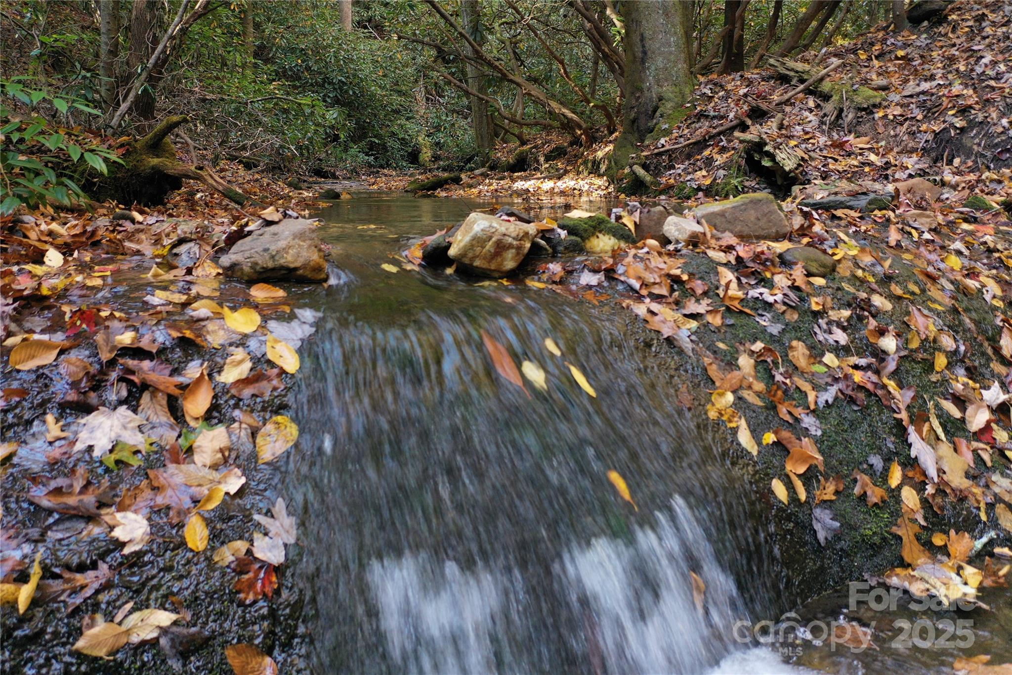 Lot 24 Ridge Trail Drive Property Photo 10