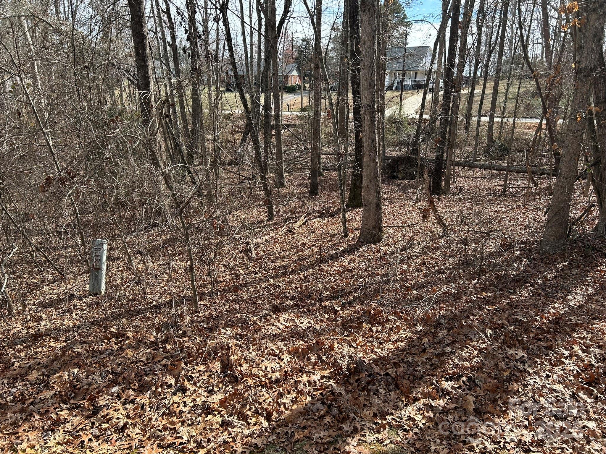 60 & 86 W Melissa Drive Property Photo 3
