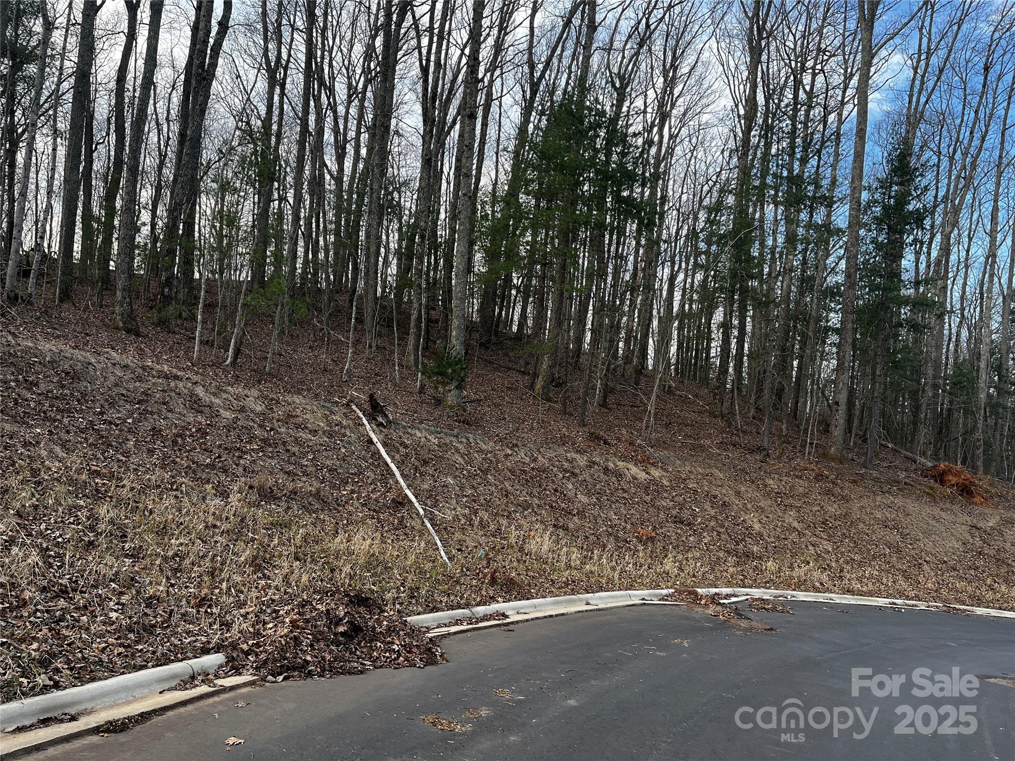 99999 Rocky Summit 5b Property Photo 6