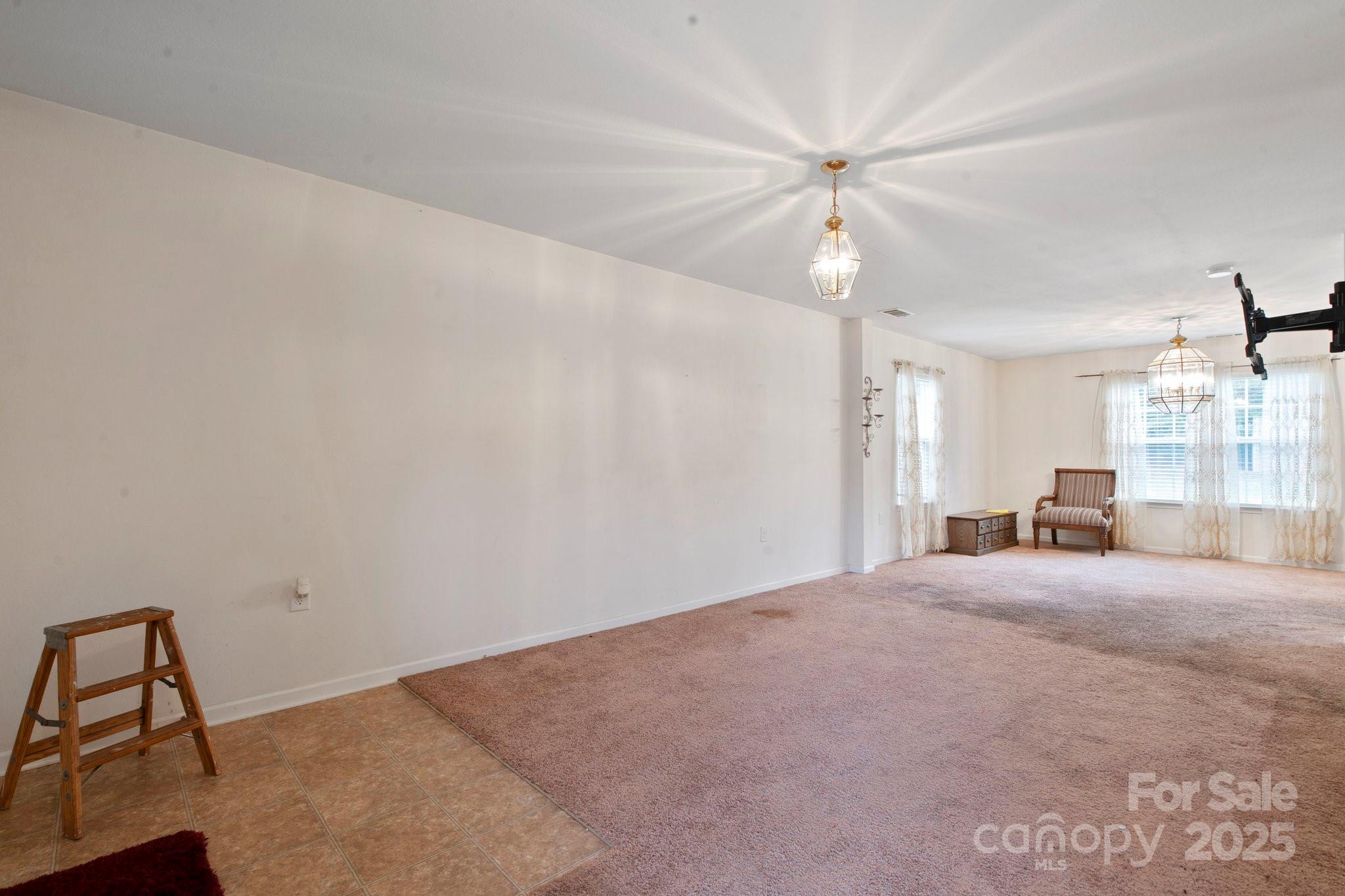 3627 Alexander Forest Drive Property Photo 10