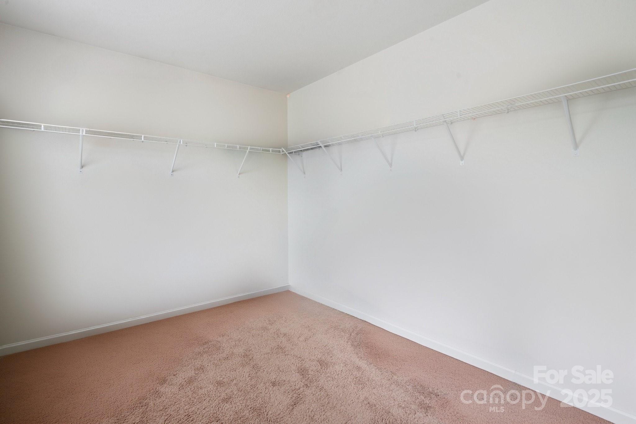 3627 Alexander Forest Drive Property Photo 27