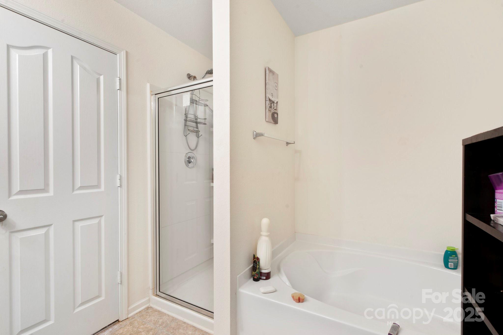 3627 Alexander Forest Drive Property Photo 31