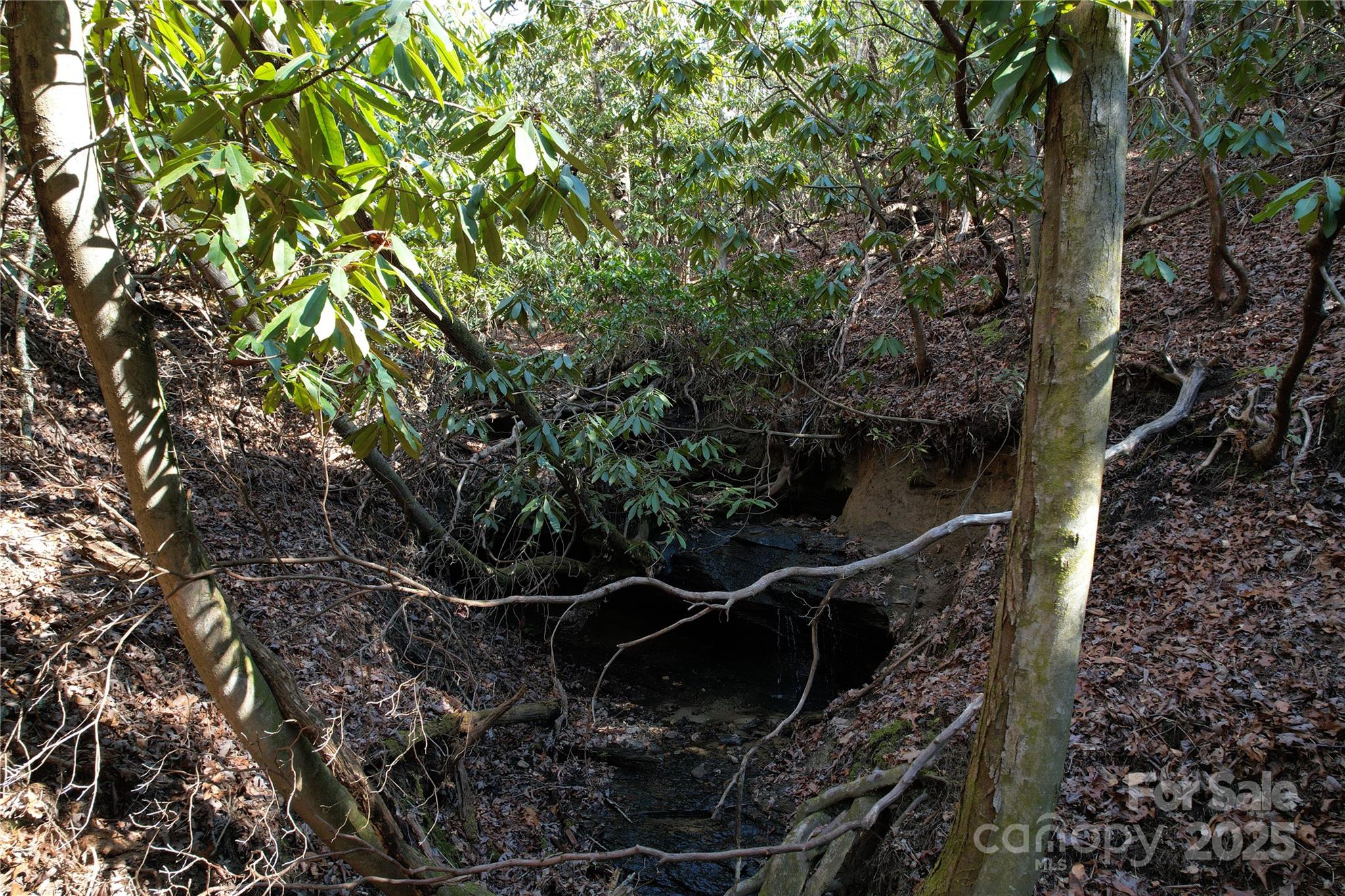 137 Moon Circle Property Photo 3