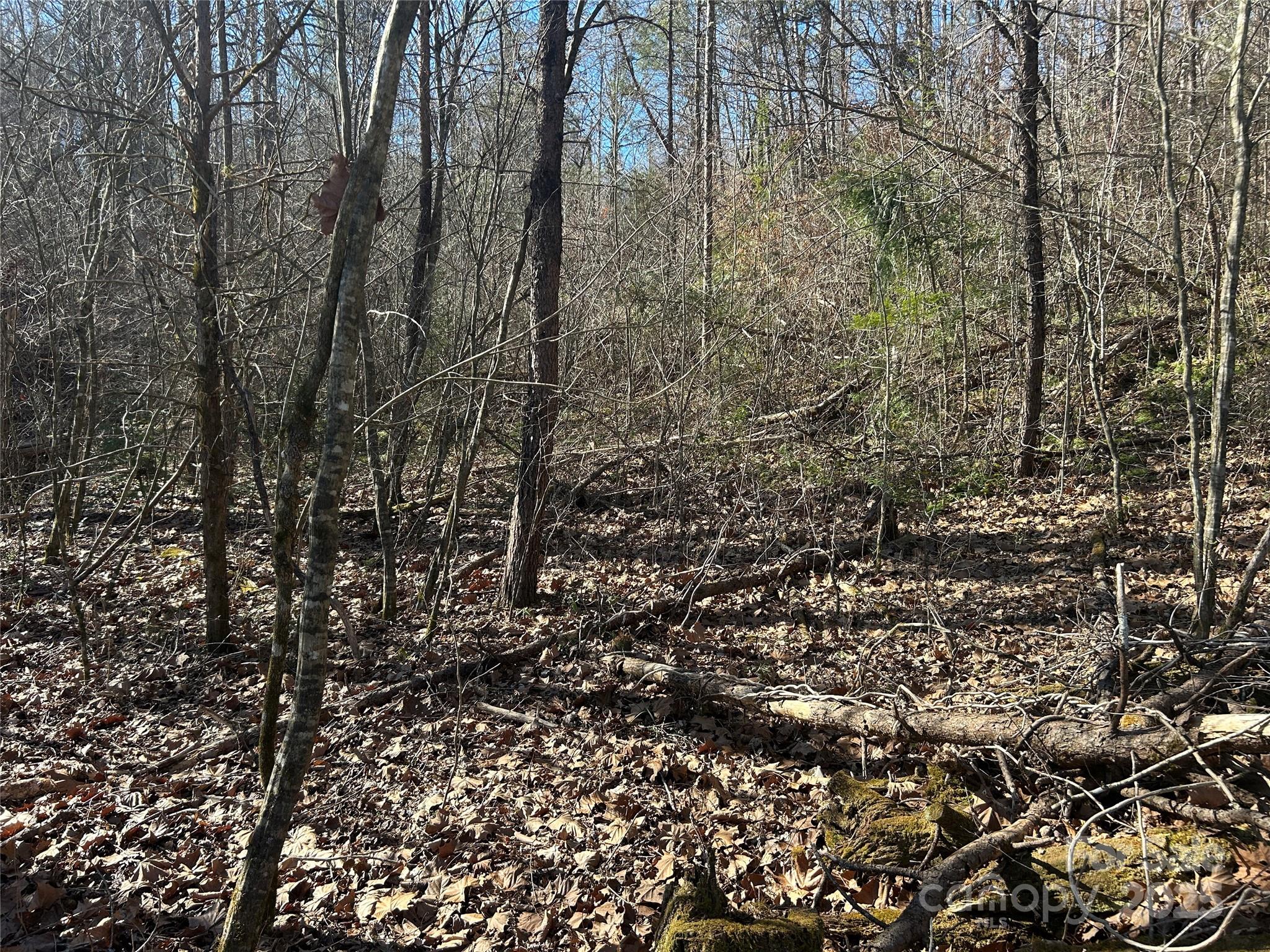 0000 Ham Creek Road Property Photo