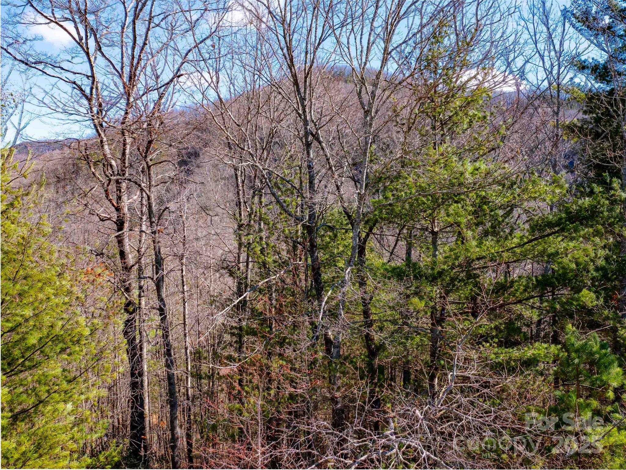 794 Silverstone Drive Property Photo 3