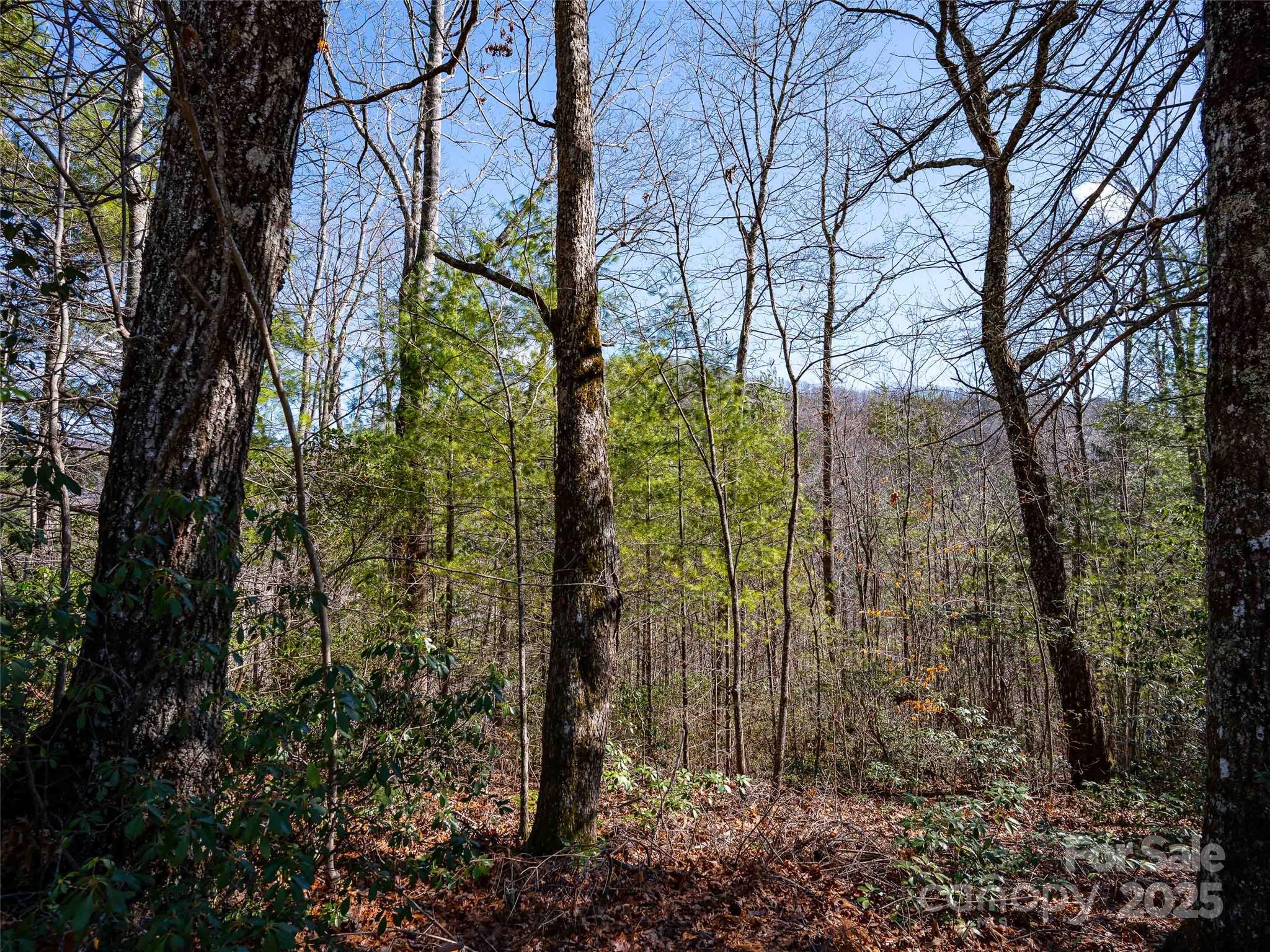 794 Silverstone Drive Property Photo 14