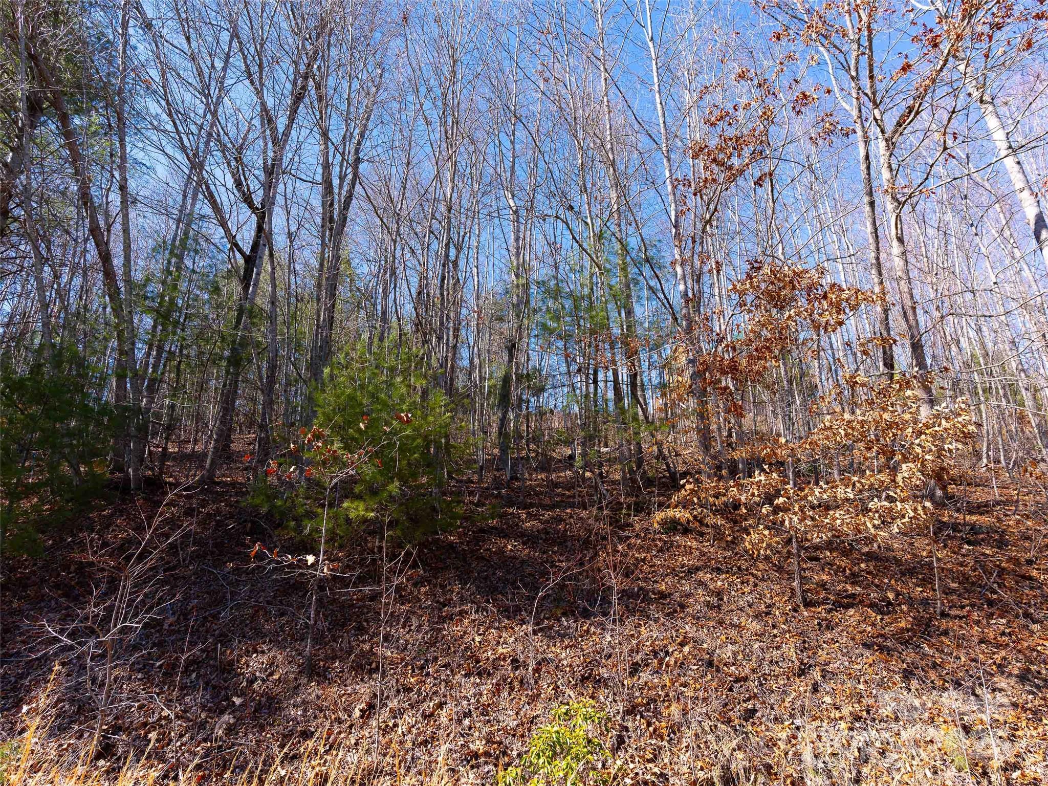 794 Silverstone Drive Property Photo 17