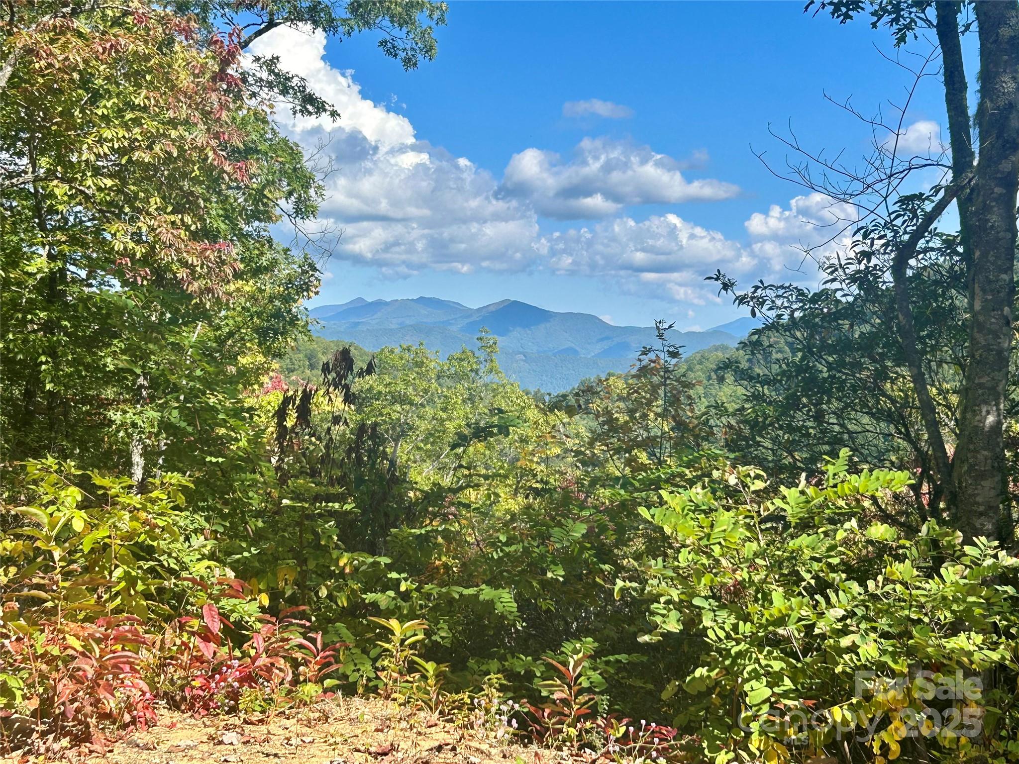 0 Middle Ridge 31&32 Property Photo