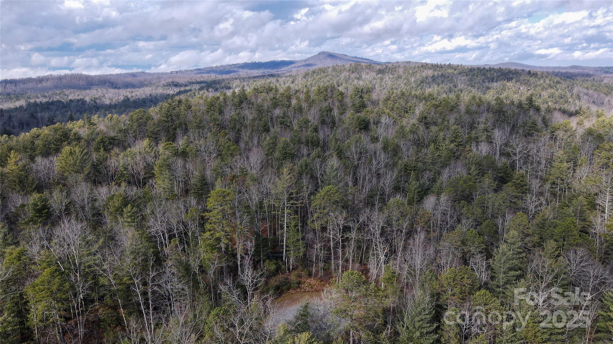 99999 Boulder Crossing Property Photo 3