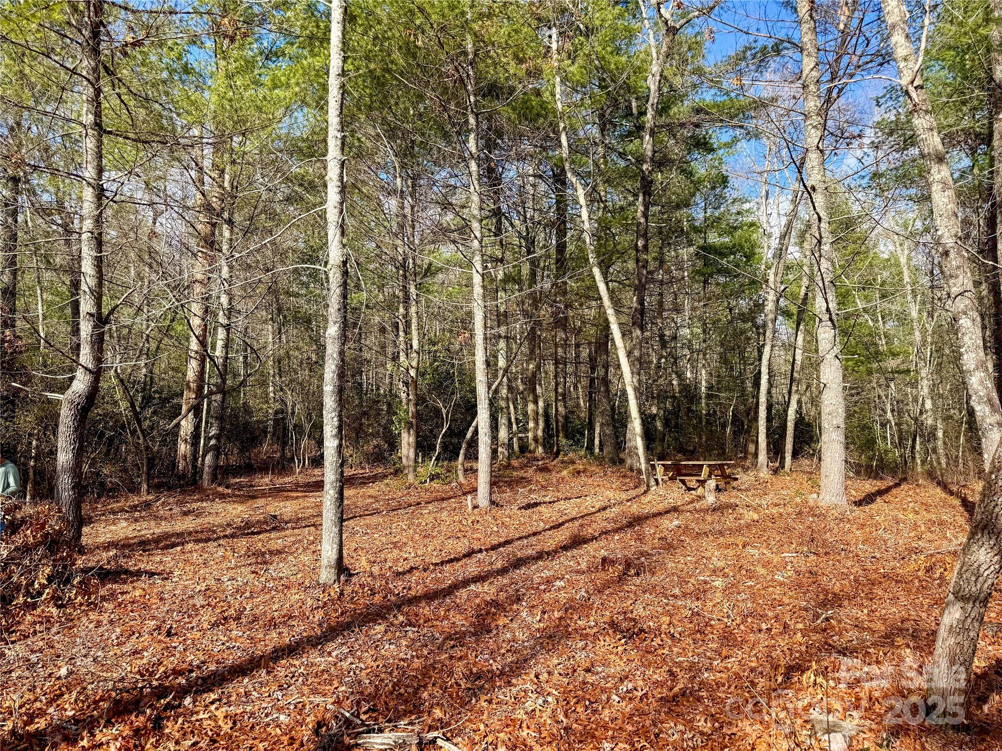 99999 Boulder Crossing Property Photo 6